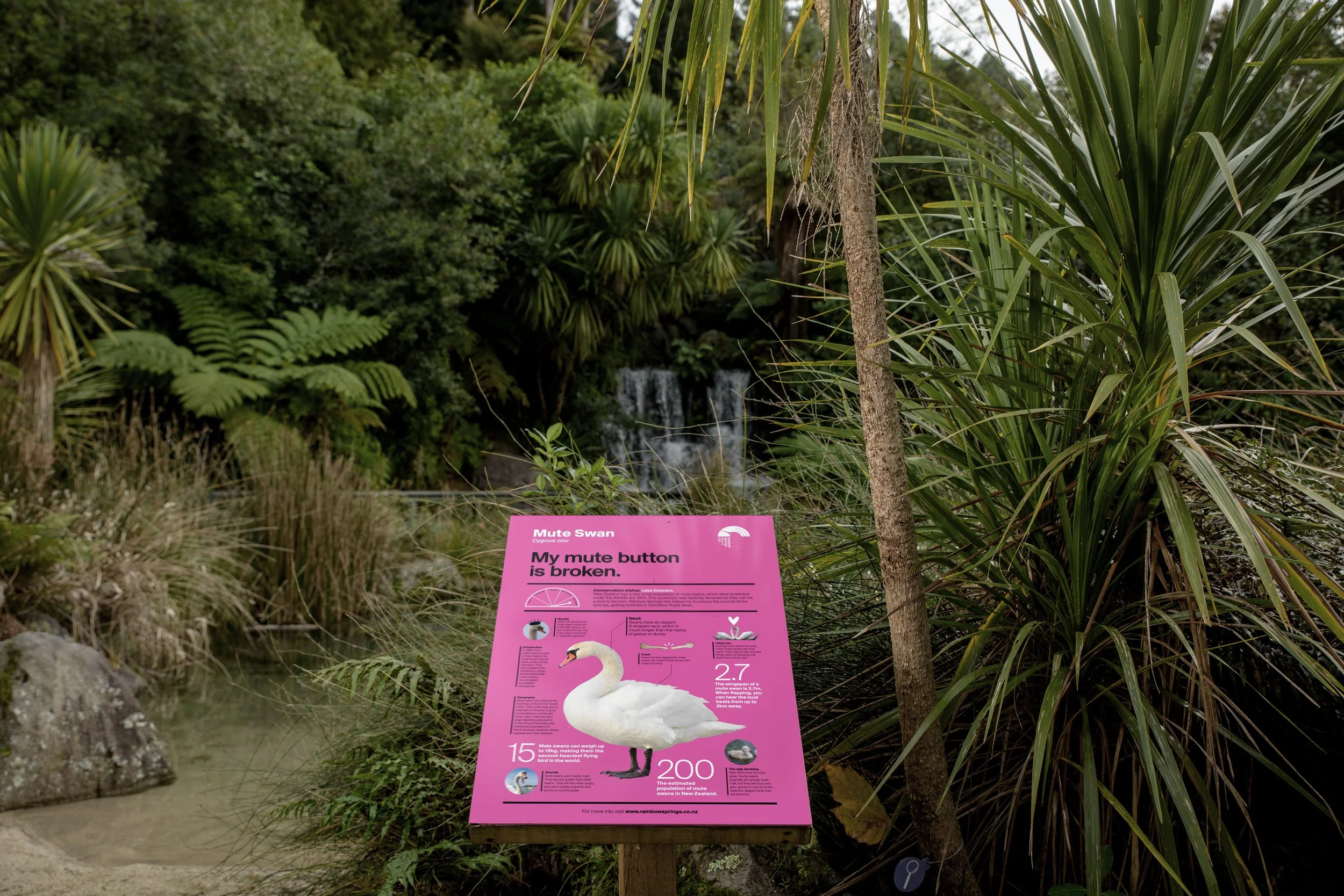 Rainbow Springs Nature Park - 9799 - Large.jpg