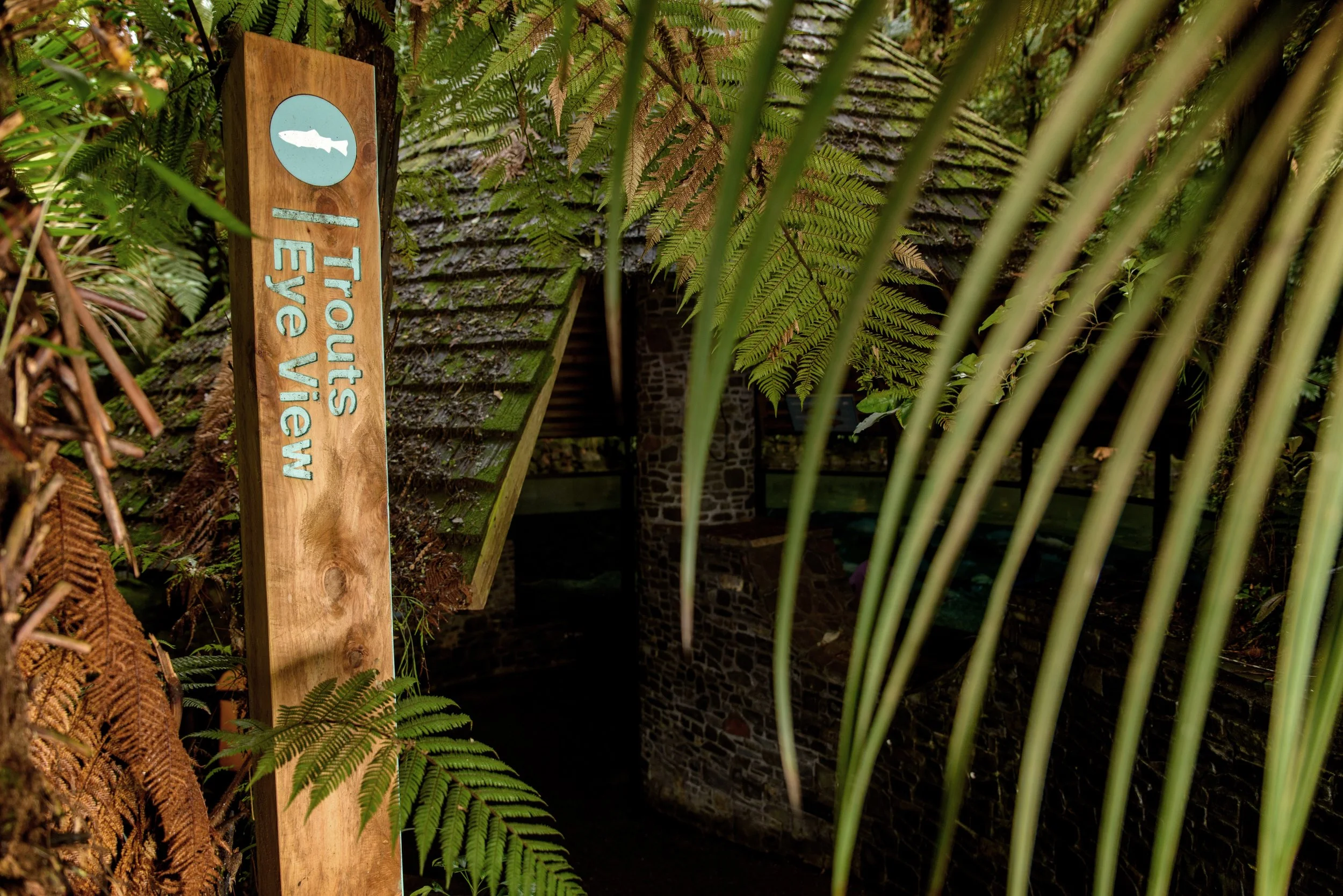 Rainbow Springs Nature Park - 9286 - Large.jpg