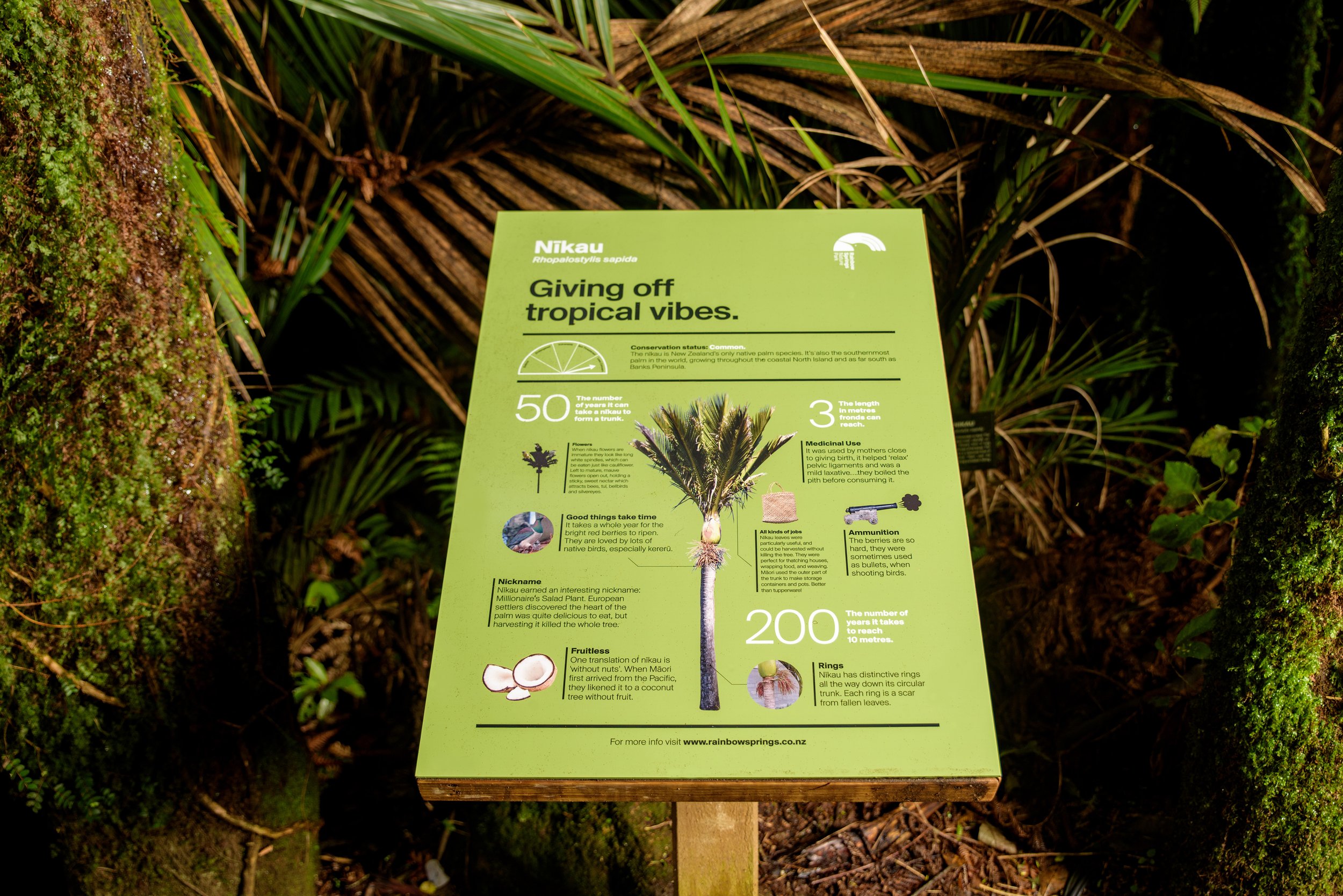 Rainbow Springs Nature Park - 9754 - Large.jpg