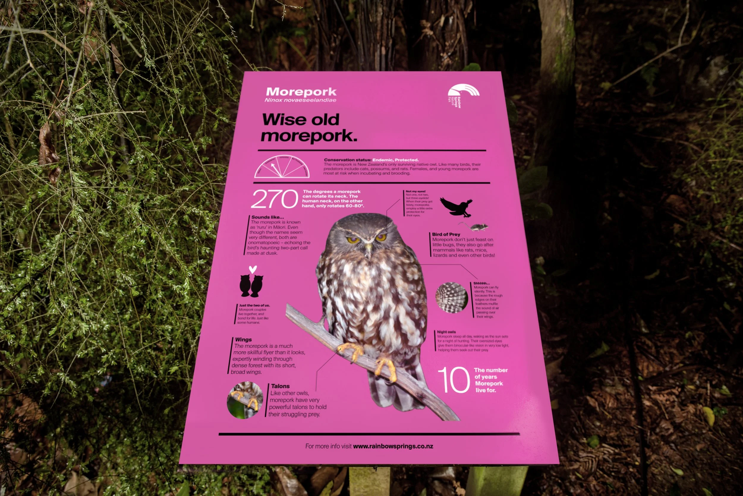 Rainbow Springs Nature Park - 9378 - Large copy.jpg