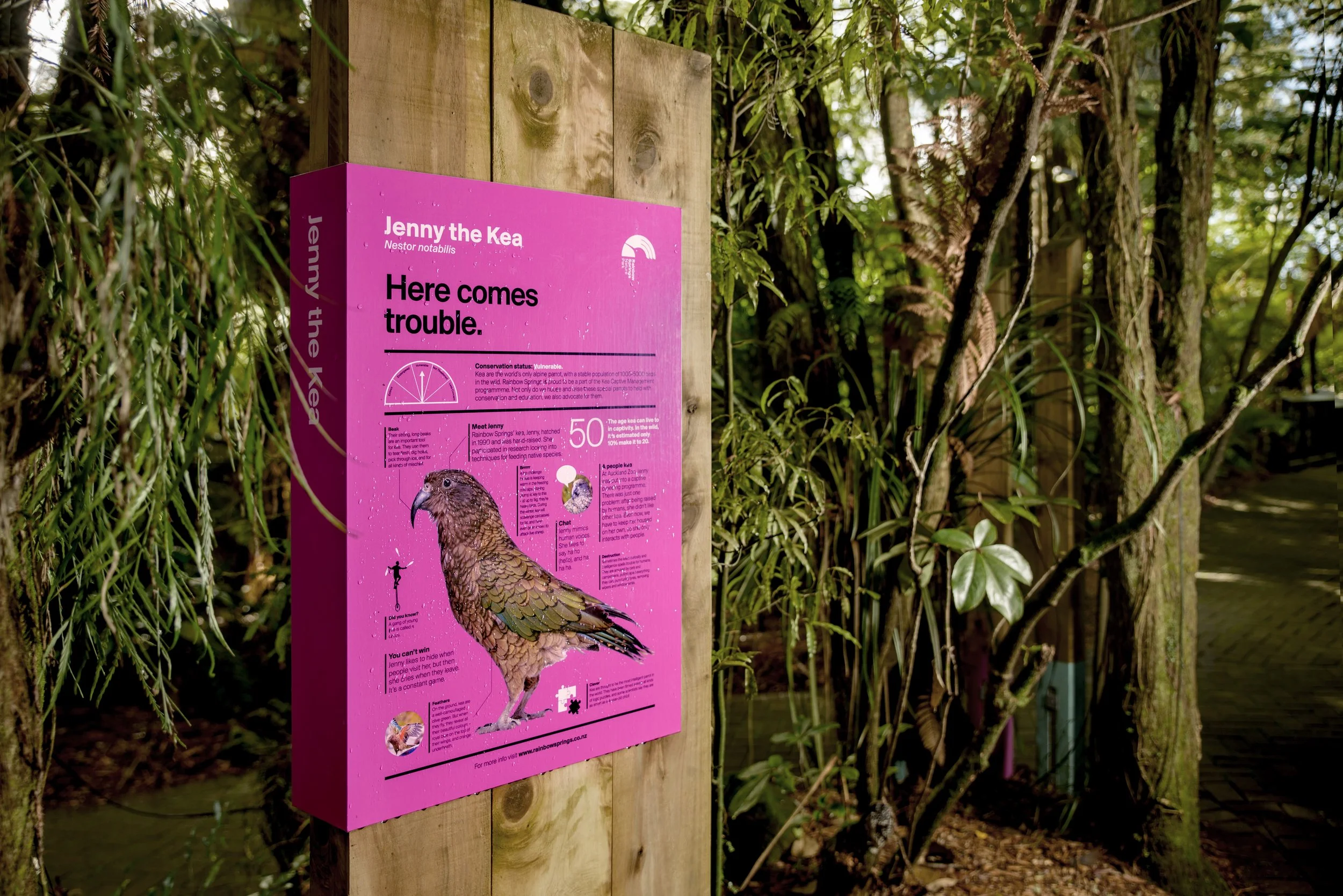 Rainbow Springs Nature Park - 9529 - Large.jpg