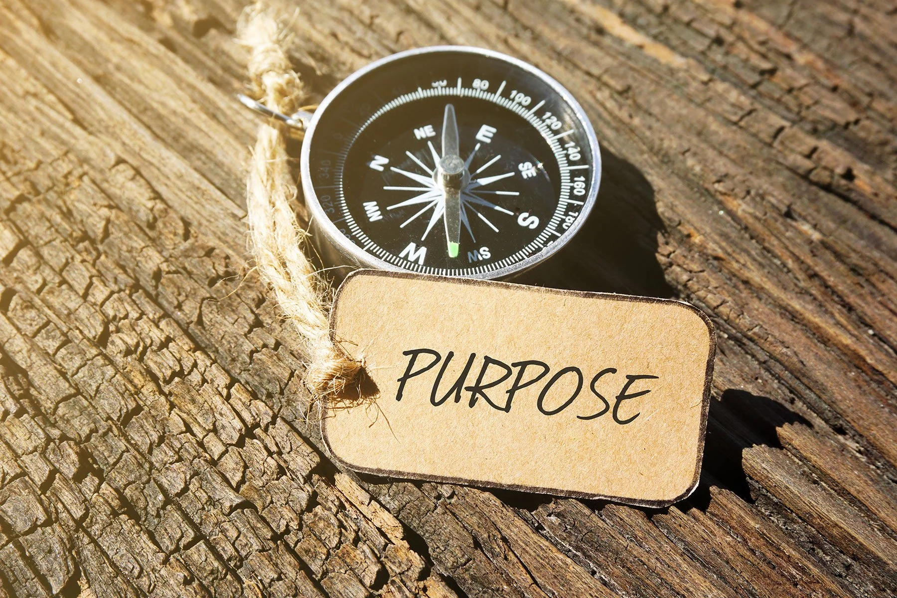 What is the best astrology life purpose reading for understanding my life path? 