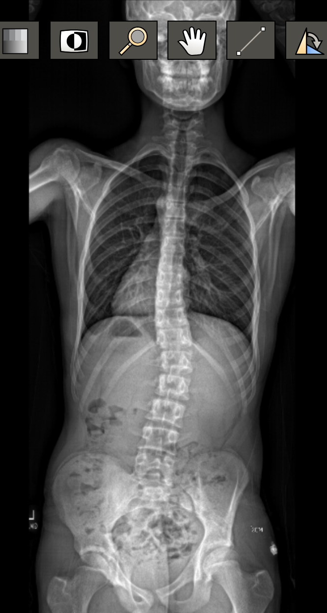 Media - Green Pant Match.png