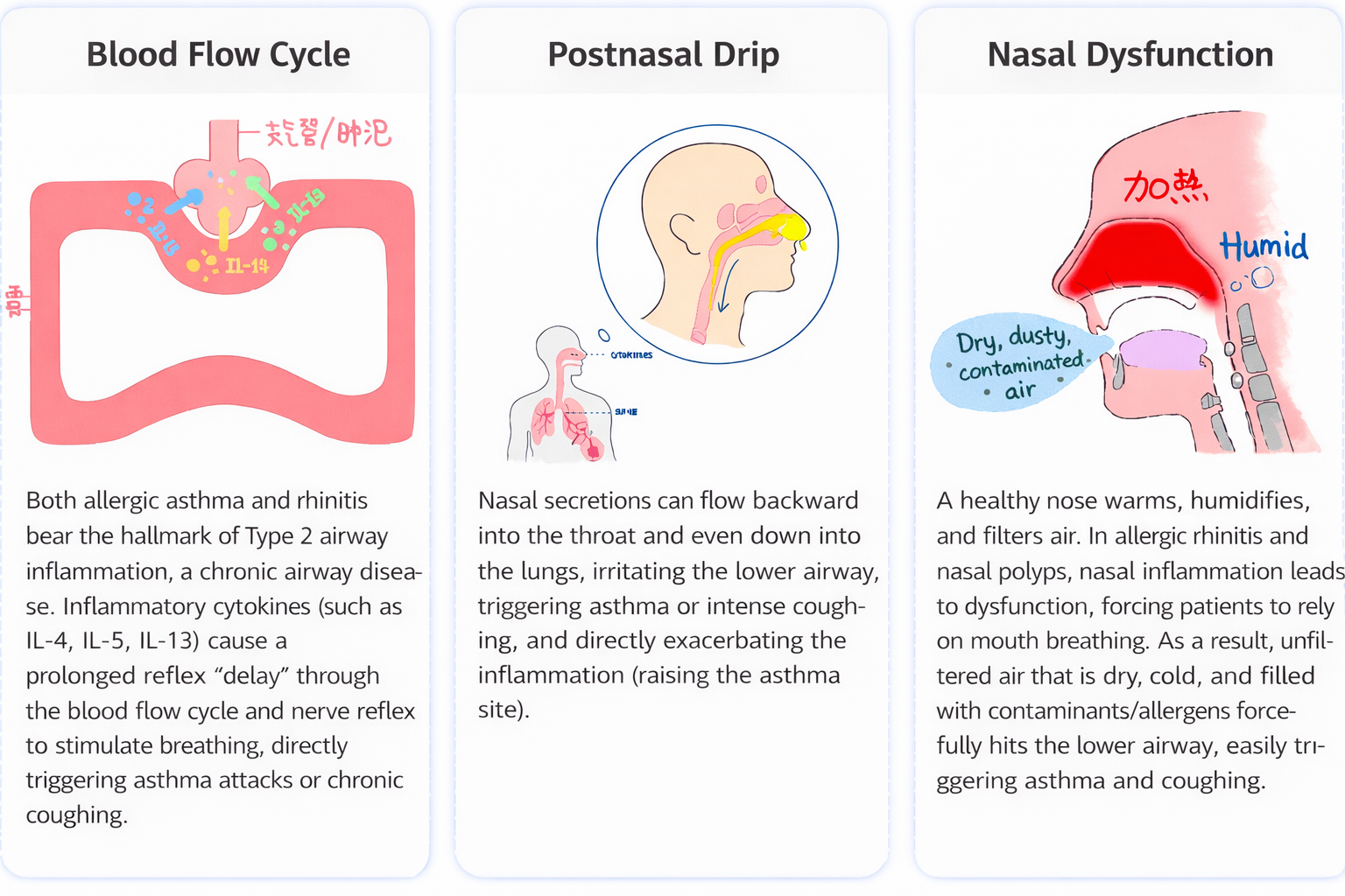 Patient-Hospital Community | Why is Asthma Prevention and Treatment Difficult? The Biggest Culprit is Sinusitis!