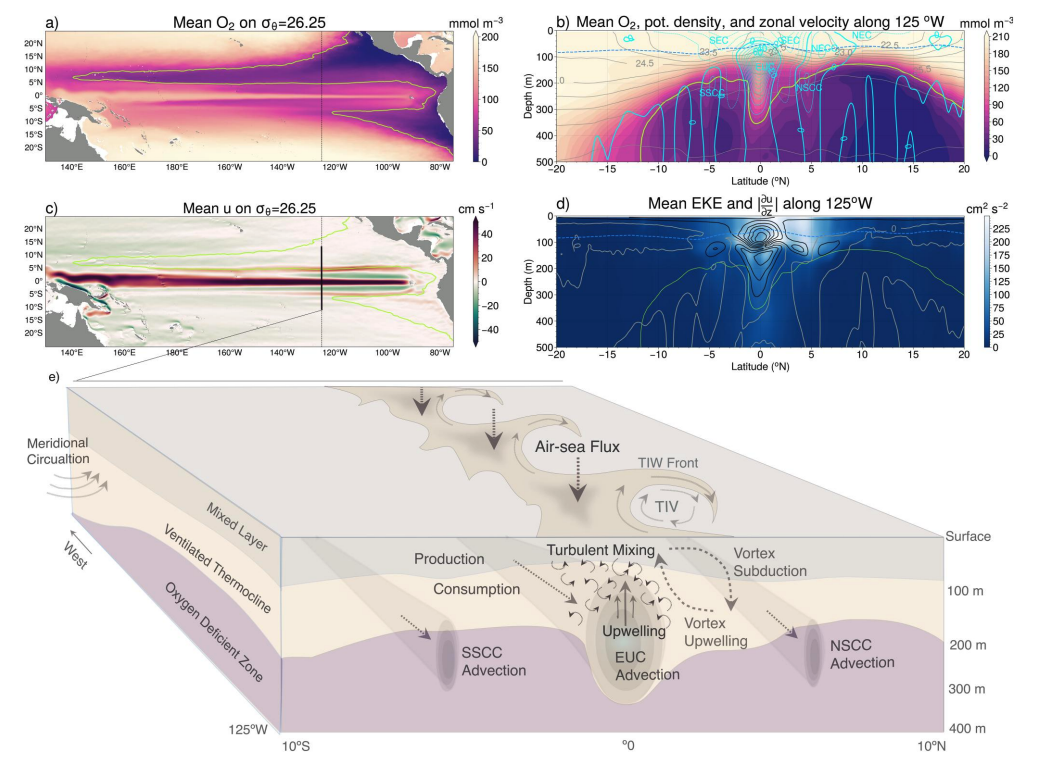 Eddy‐Mediated Turbulent Mixing of Oxygen in the Equatorial Pacific