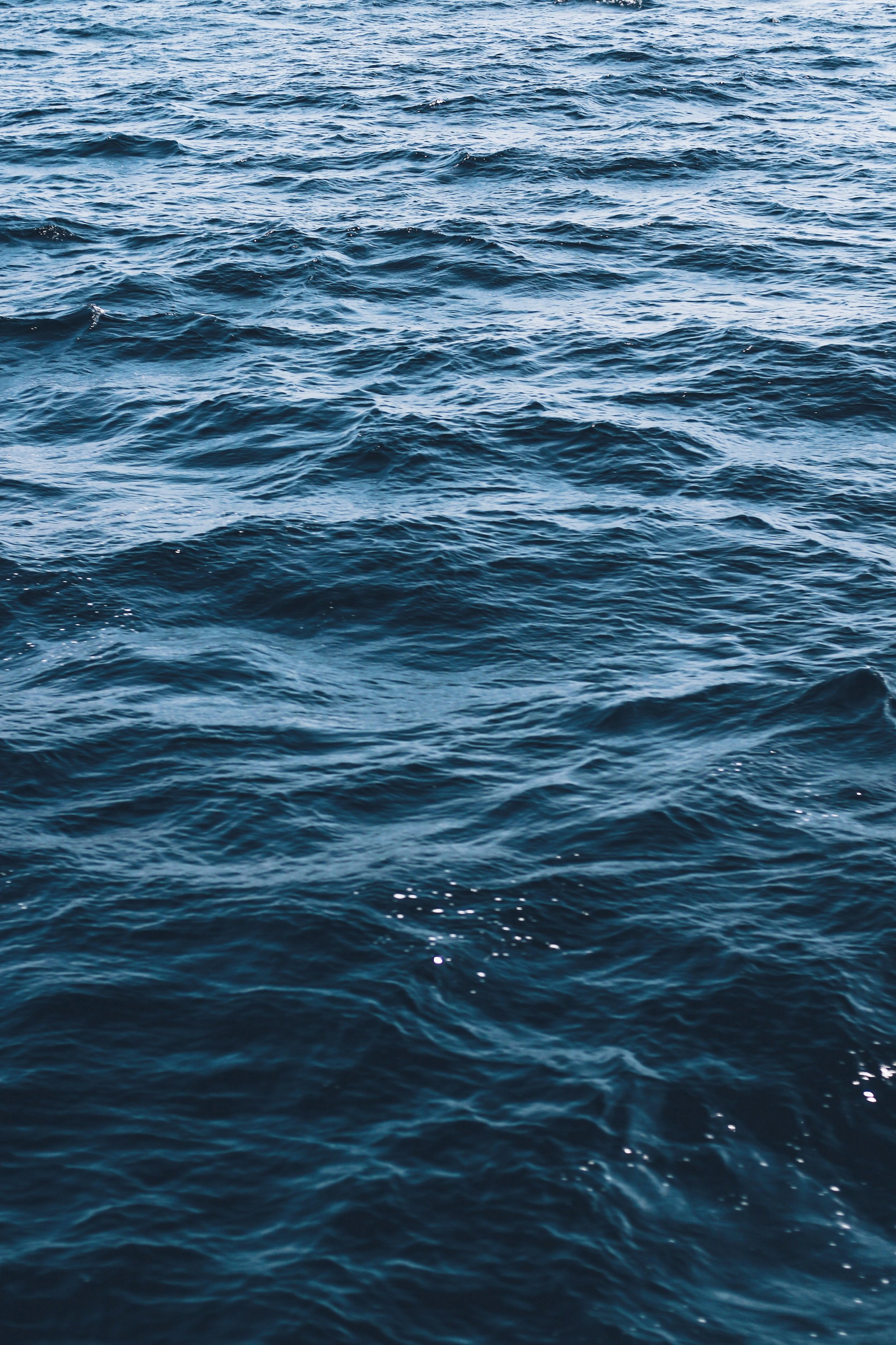 6 Breakthrough Climate Research Initiatives