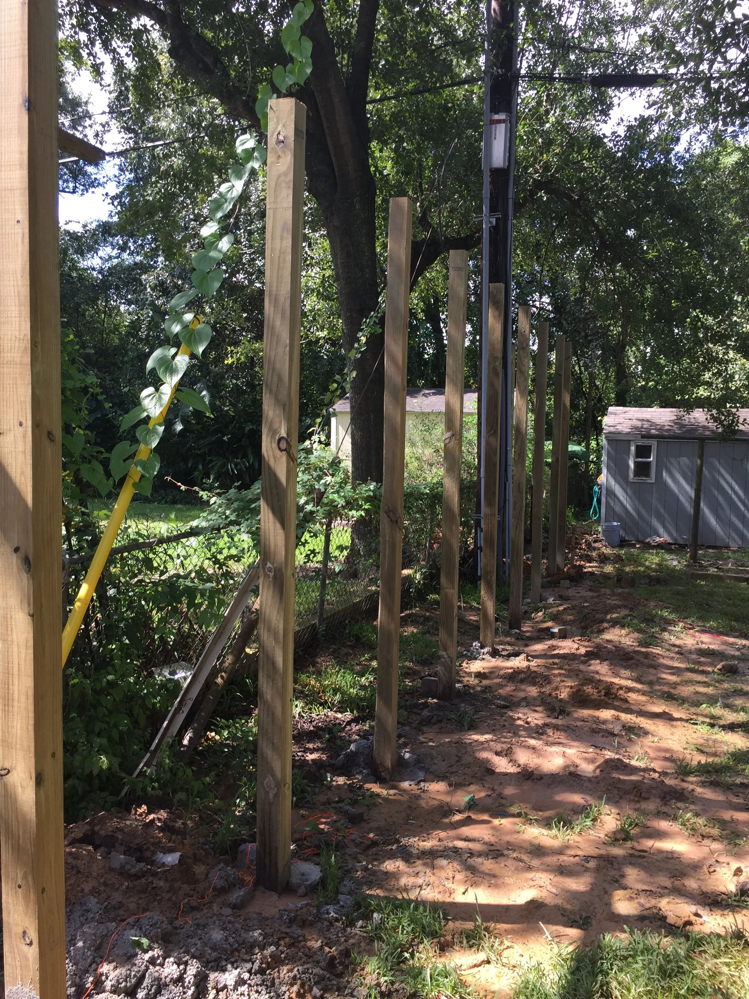 Construction of a wooden fence in a backyard