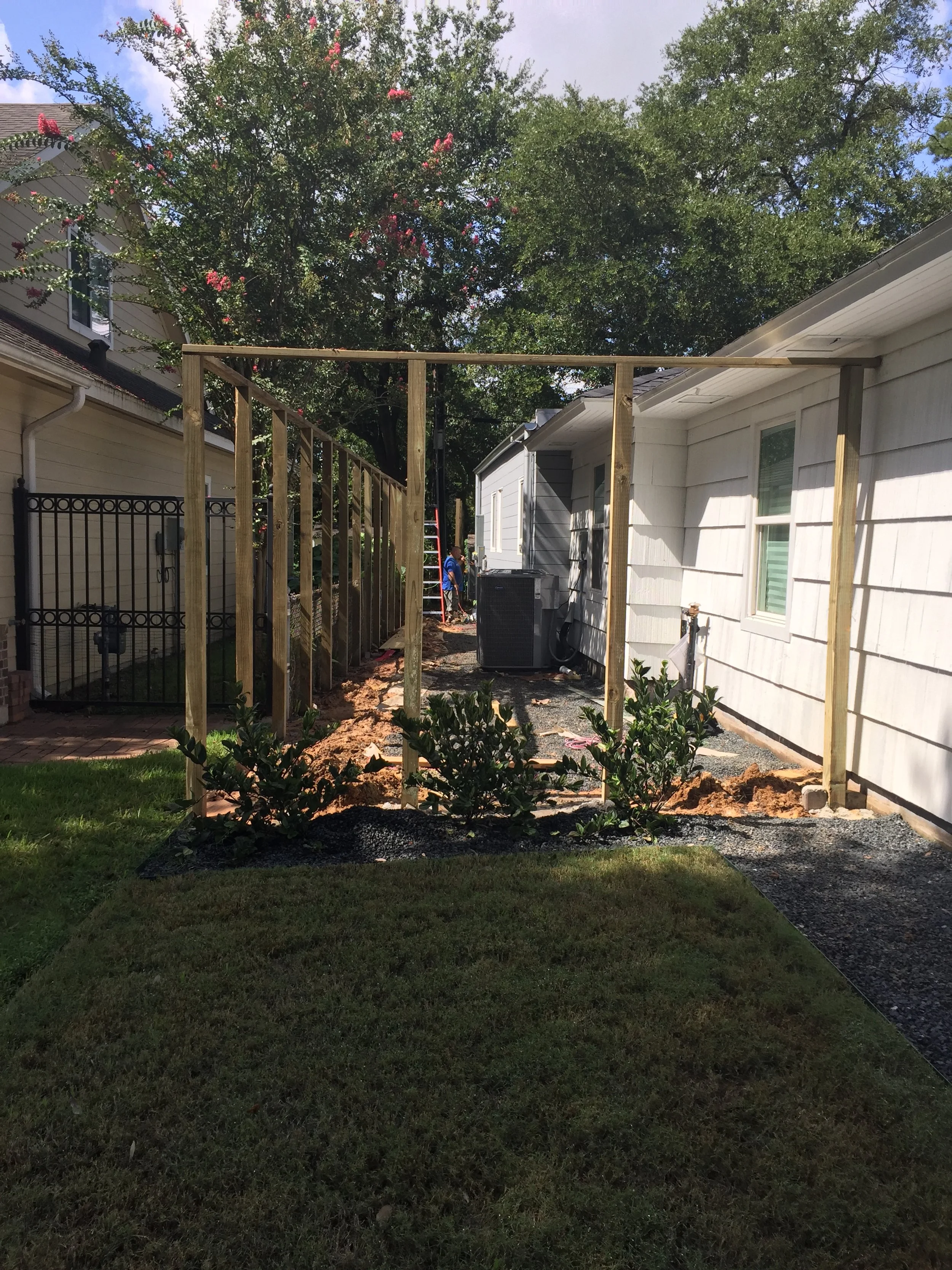 Wooden framework structure with newly planted shrubs in a backyard setting, flanked by two houses and a large tree in the background.