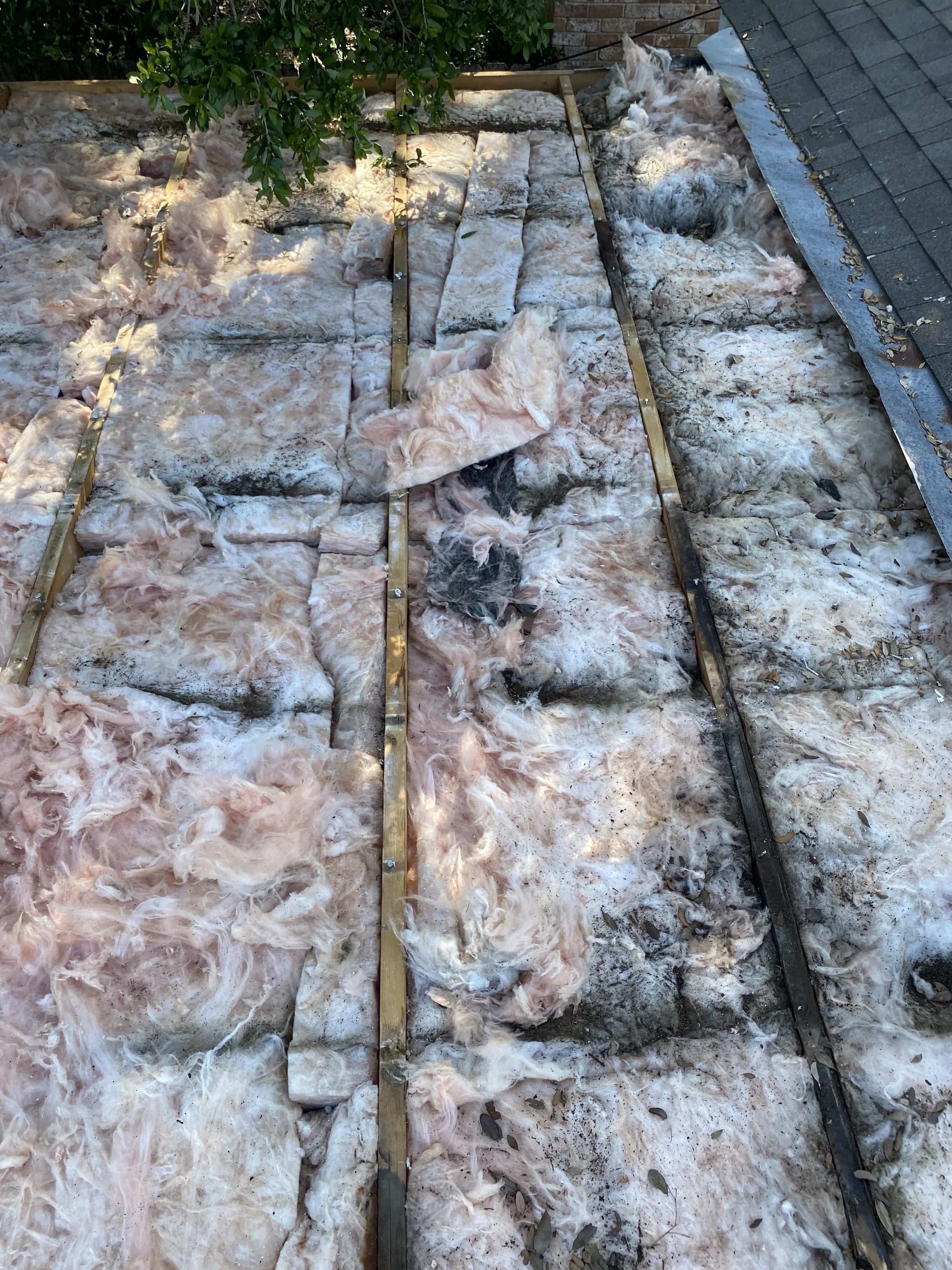 Old insulation material on a roof, appears worn and dirty, surrounded by wooden beams and adjacent to gray roof shingles.