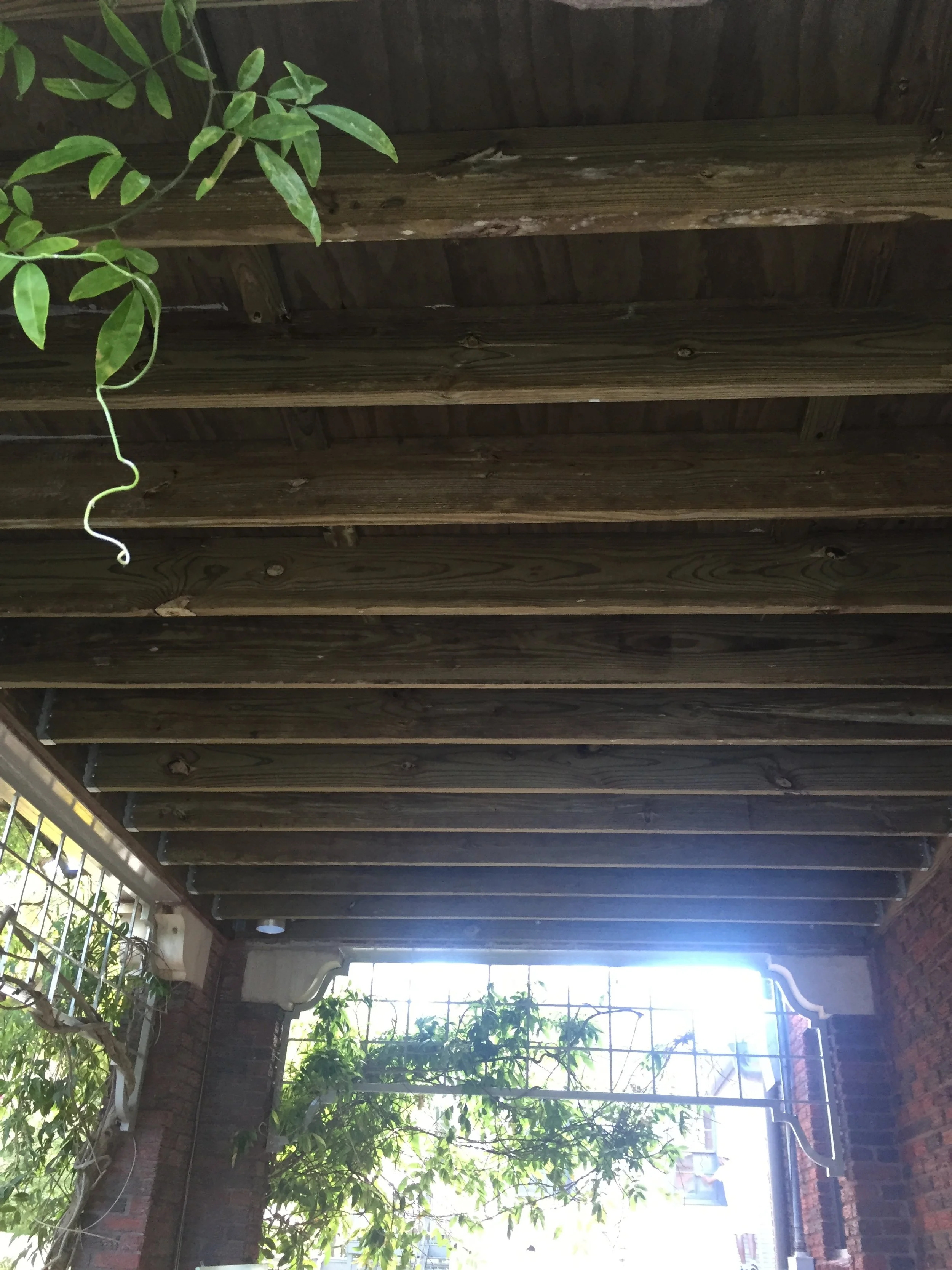 Wooden beams under a patio roof with green plants climbing on trellis and brick walls.