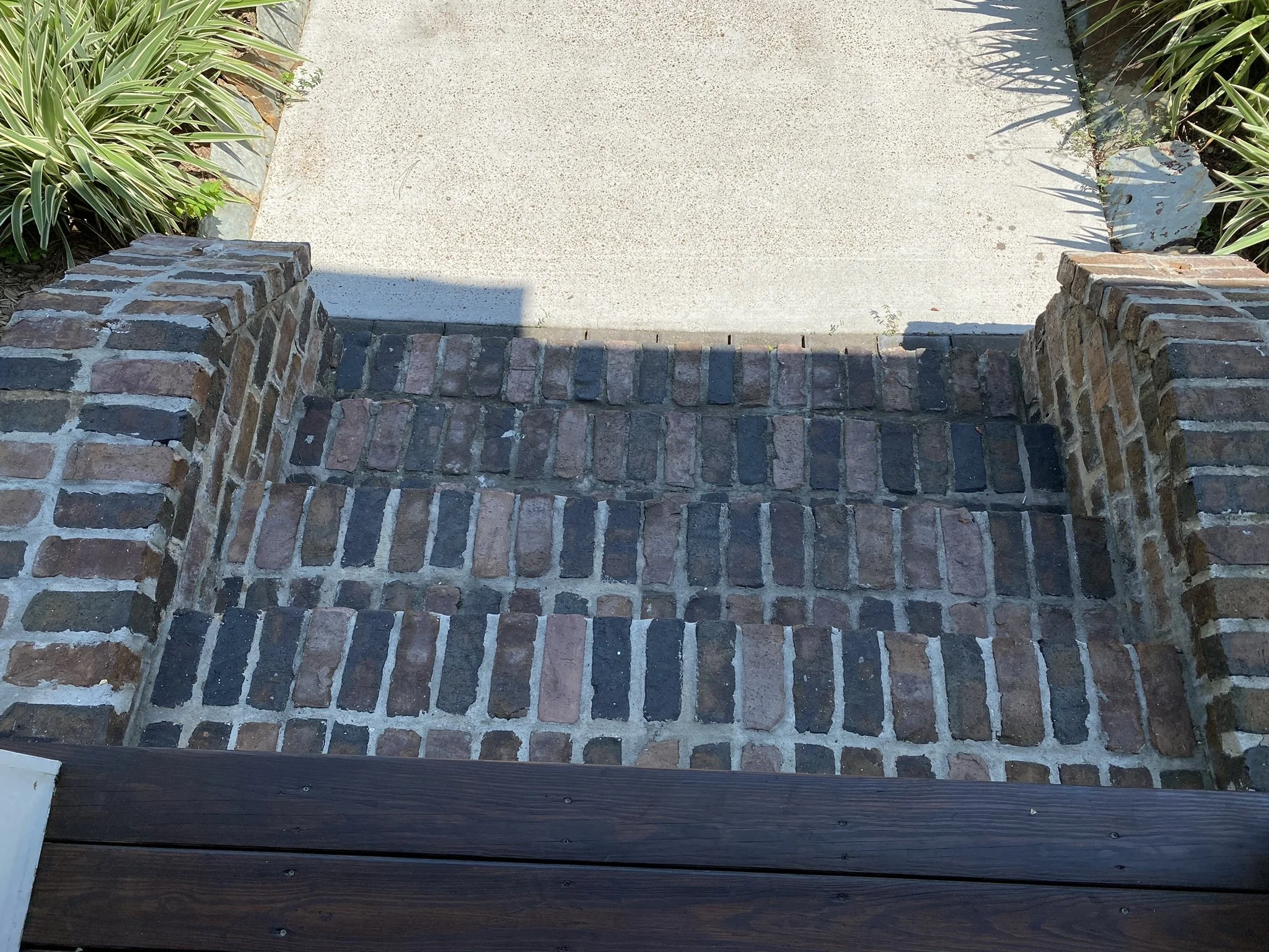 Brick steps leading to a concrete walkway, flanked by green plants.