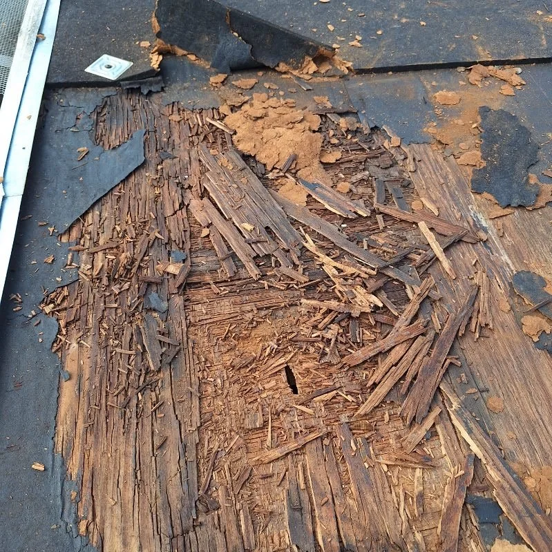 Damaged and rotting wooden surface with peeling roofing material.