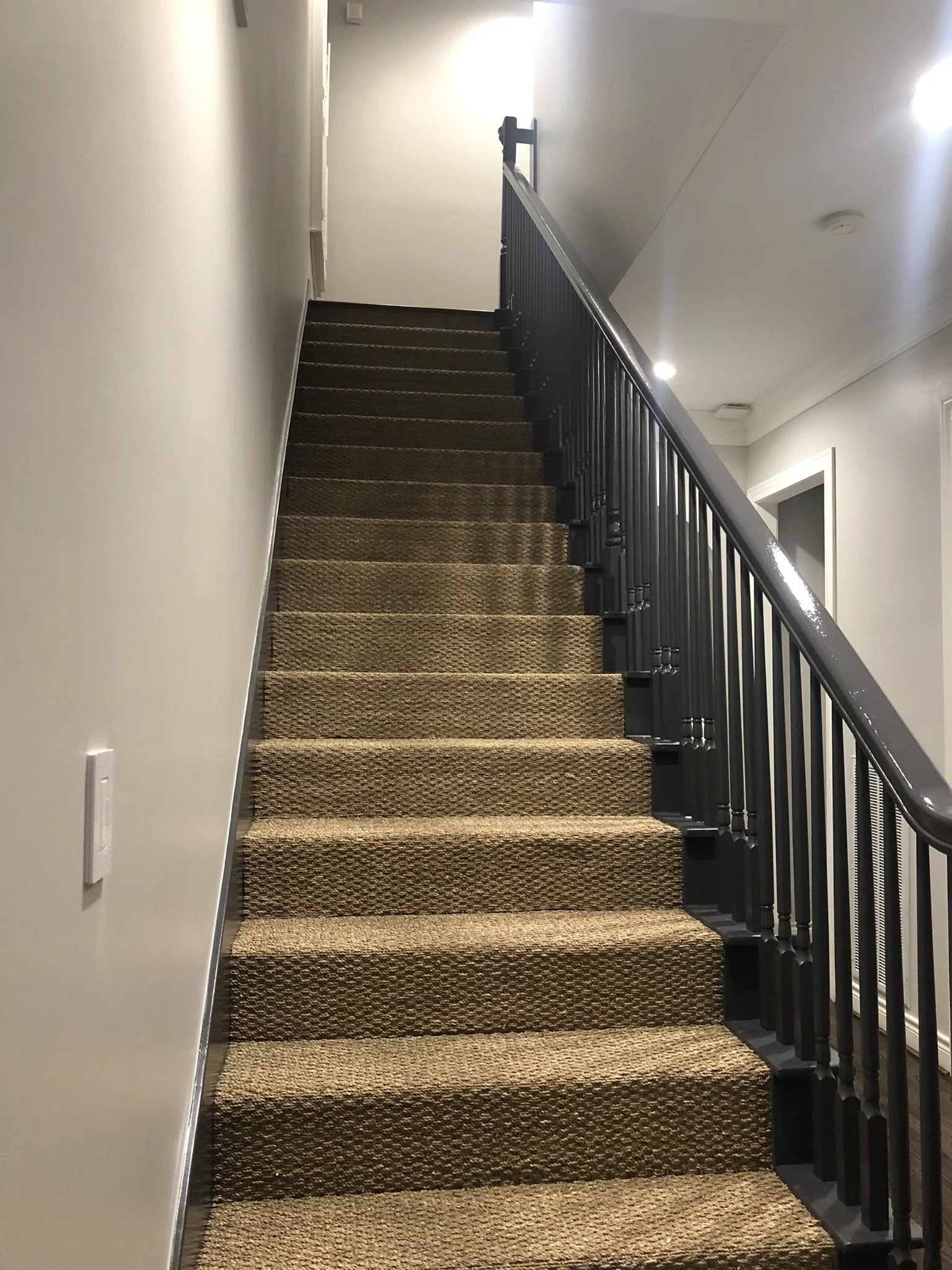 Indoor staircase with carpeted steps, white walls, and a black railing.