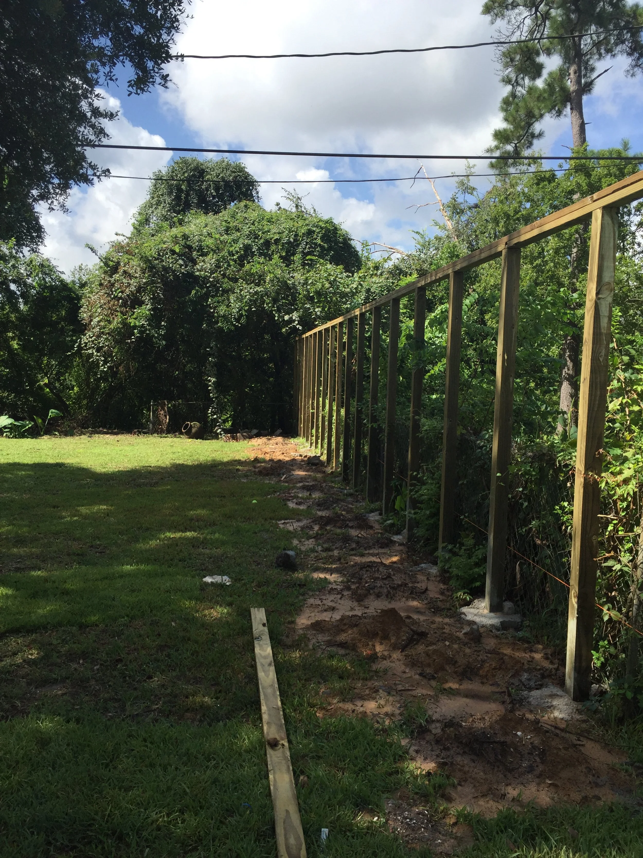 Partially constructed wooden fence in a grassy backyard with trees in the background and blue sky overhead.