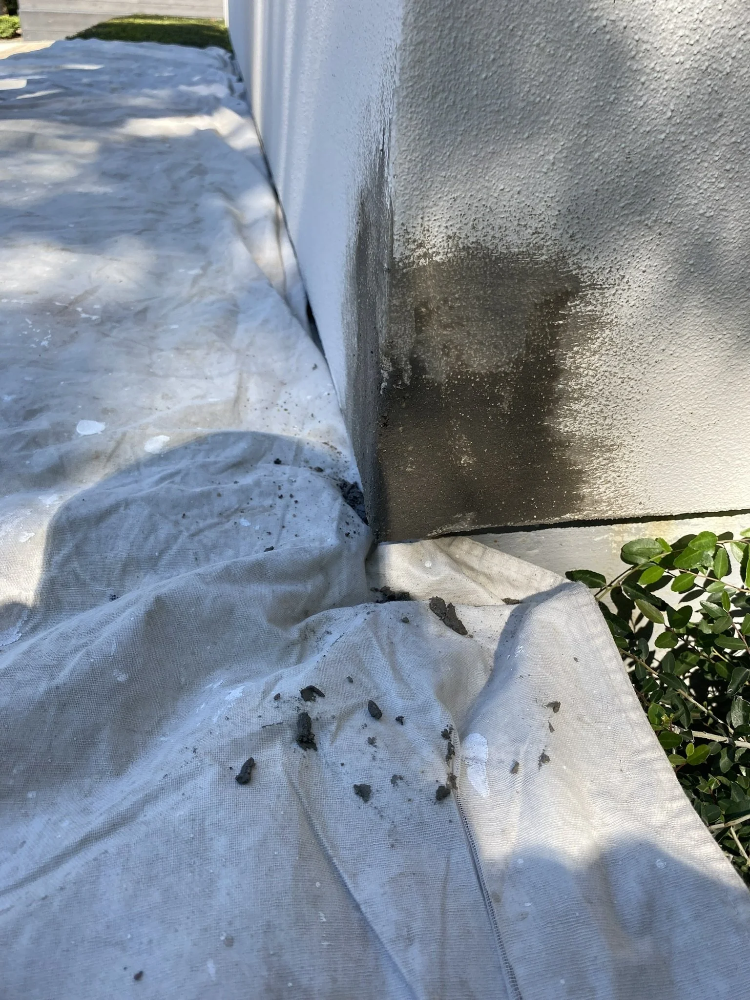 A corner of a white stucco wall with some dark stains, partially covered by a drop cloth on the ground, surrounded by small green shrubs.