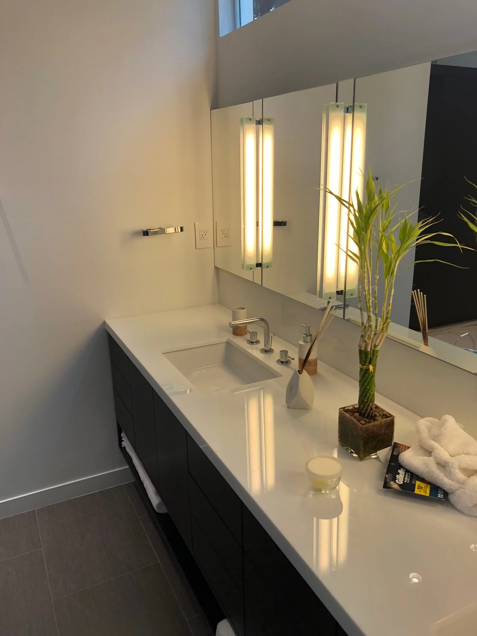 Modern bathroom vanity with a sink, mirror, and overhead lights. Features a plant, soap, and towel on the counter.