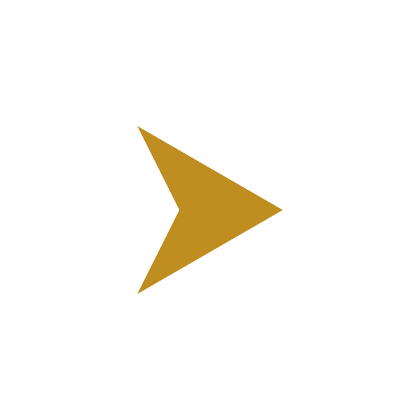 Black and gold arrow symbol pointing to the right.