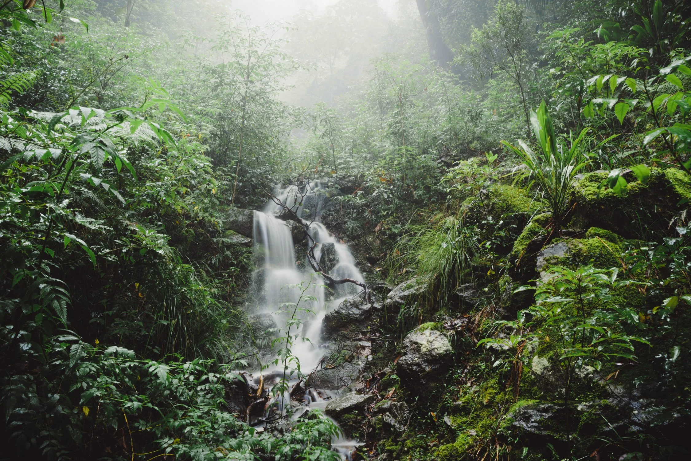 ISO 160 — ƒ/16 — 1.4 sec