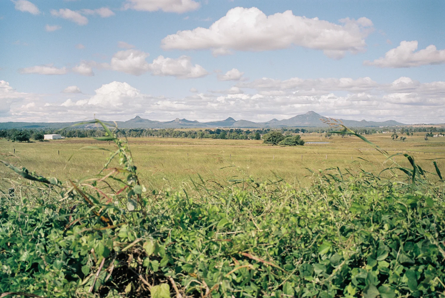 Flinders Peak from Cunningham Highway. Portra 160 on M7.