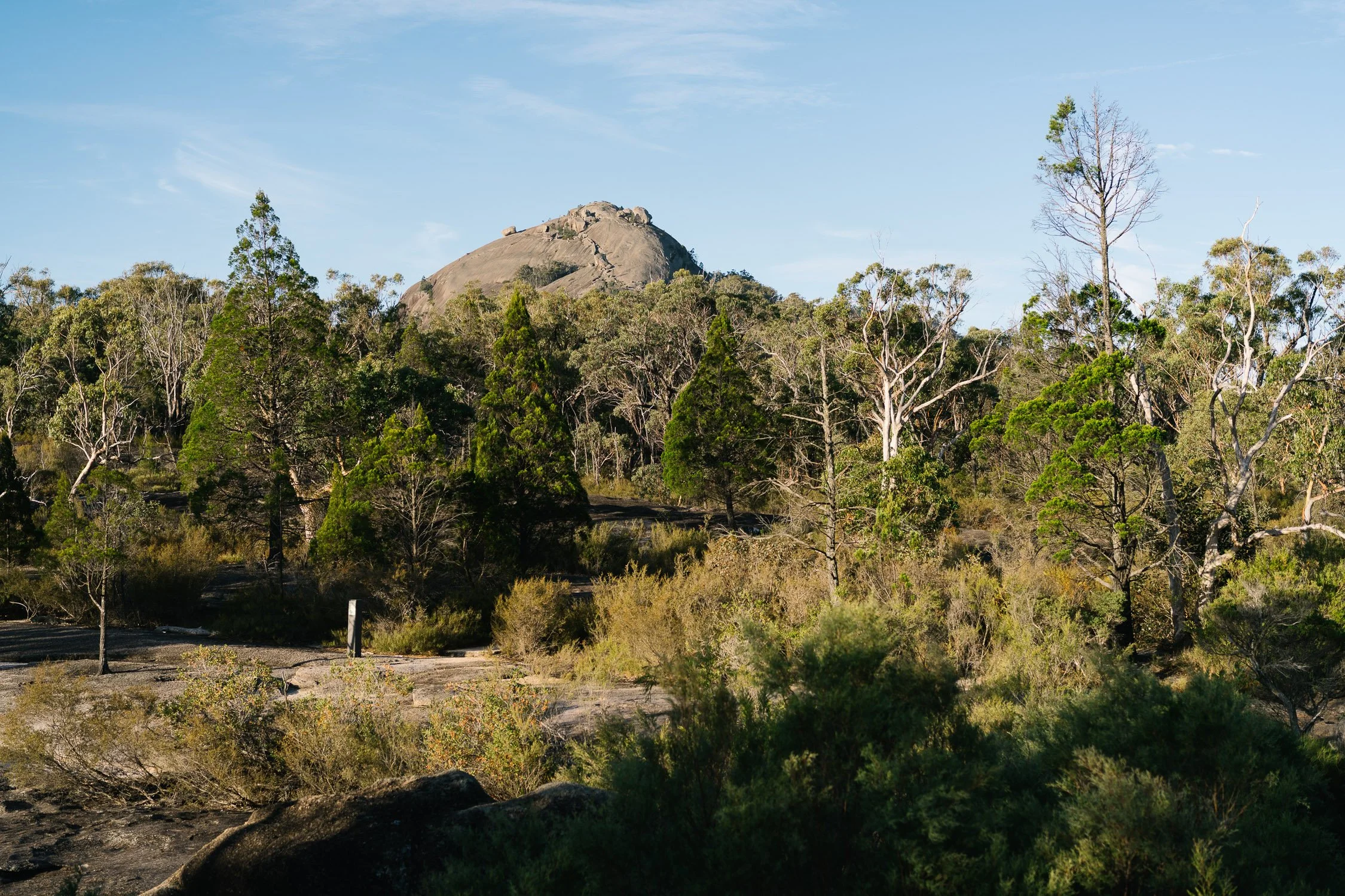 20260317 - Victoria Road Trip - 171824-Nick-Bedford,-Photographer-Australia, Girraween, Hiking, Kosciuszko, Nature, Sony 50mm F2.5 G, Sony A7CR, Sony Zeiss 35mm F2.8 ZA.jpg