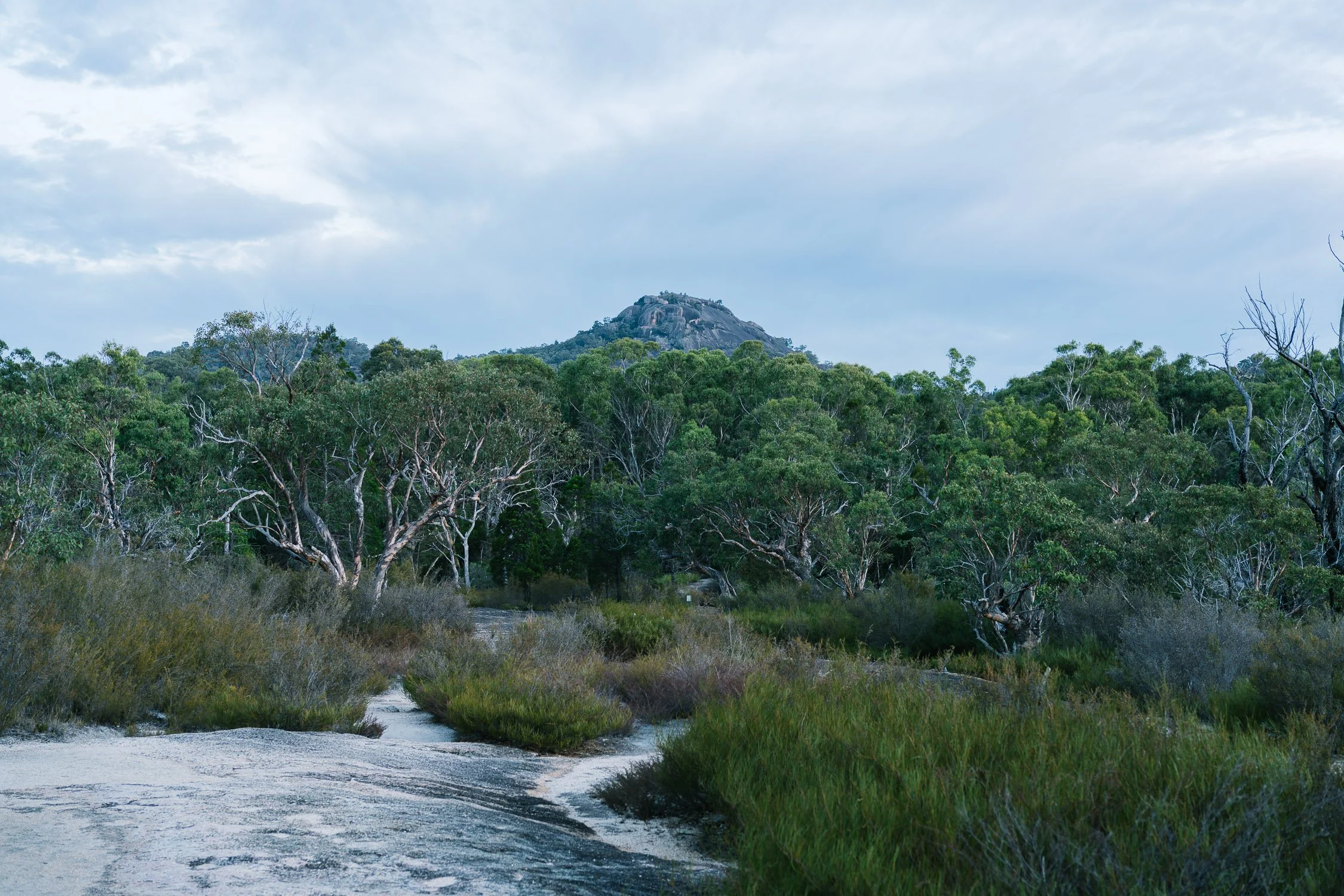 20260317 - Victoria Road Trip - 180918-Nick-Bedford,-Photographer-Australia, Girraween, Hiking, Kosciuszko, Nature, Sony 50mm F2.5 G, Sony A7CR, Sony Zeiss 35mm F2.8 ZA.jpg