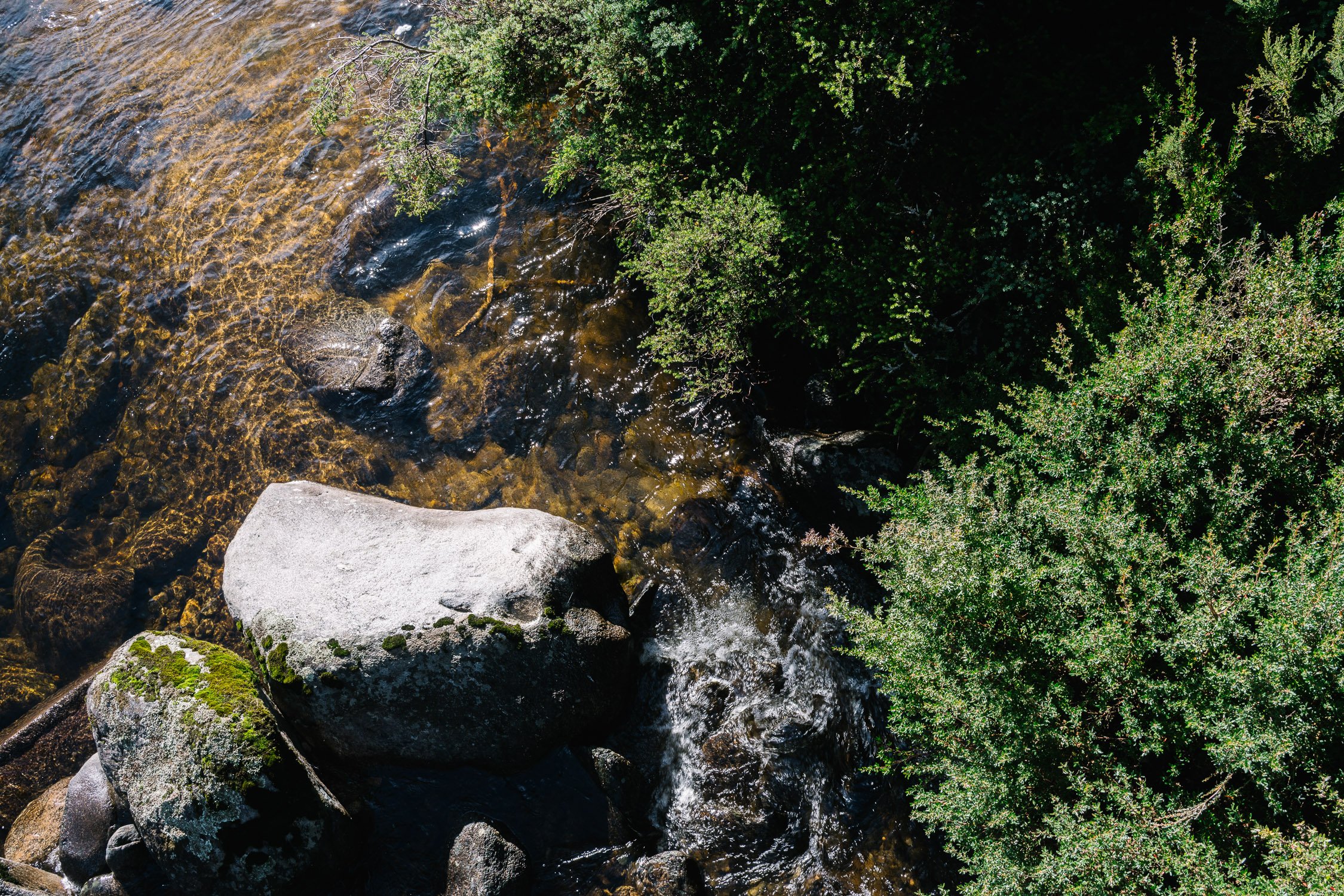 20260320 - Victoria Road Trip - 080515-Nick-Bedford,-Photographer-Australia, Girraween, Hiking, Kosciuszko, Nature, Sony 50mm F2.5 G, Sony A7CR, Sony Zeiss 35mm F2.8 ZA.jpg