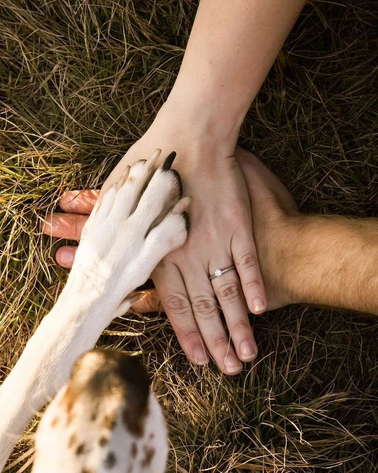 How to Include Your Dog in Your Engagement Photos.jpg