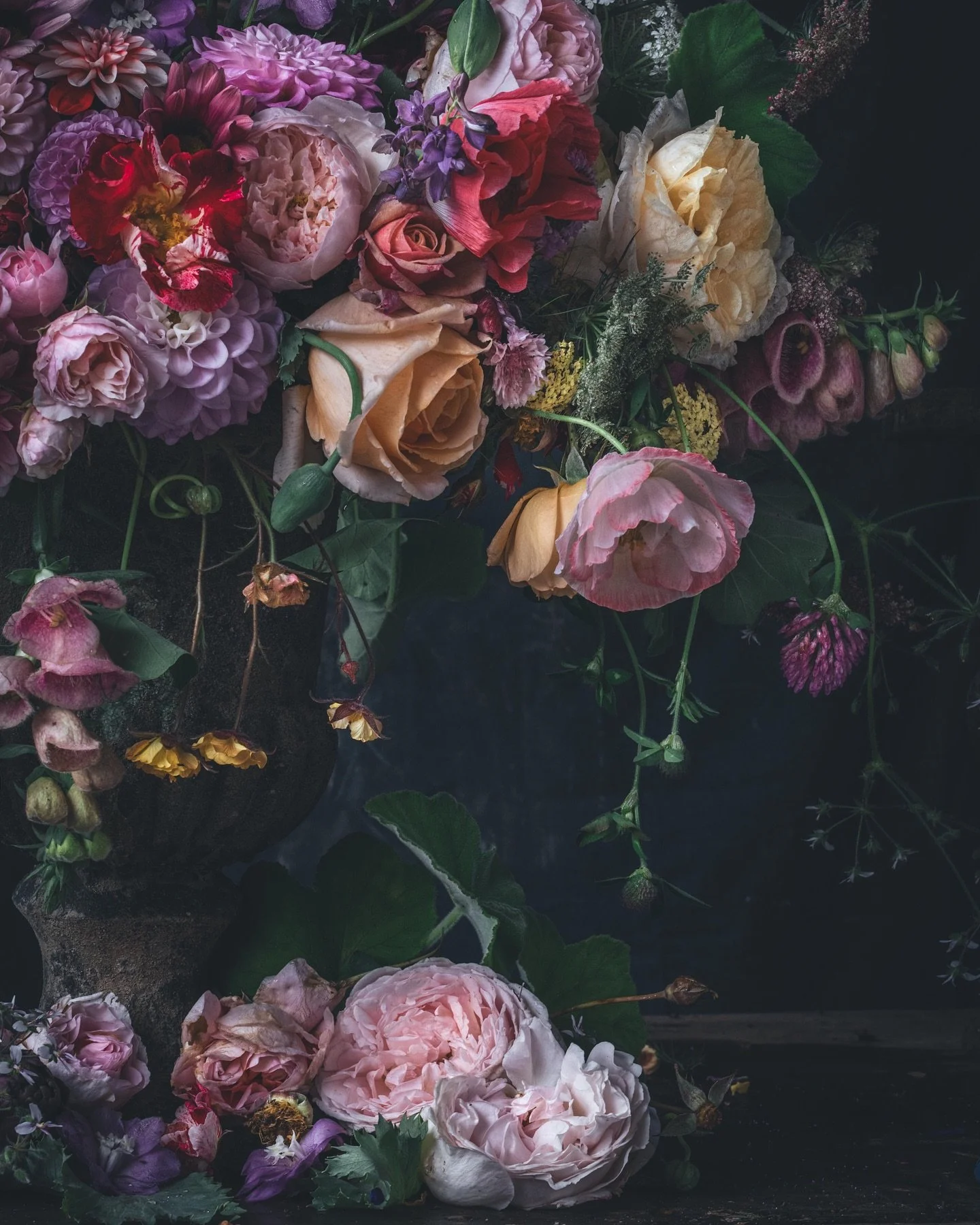 Flowers from the garden. Roses, dahlias, geum, fox gloves, cornflower, delphiniums, clover, achillea and poppies, a little bit of whimsy. 
#rosesforcutting #davidaustinroses #nzroses #homegardener #flowerphotography #floralarrangements #flowers #flow