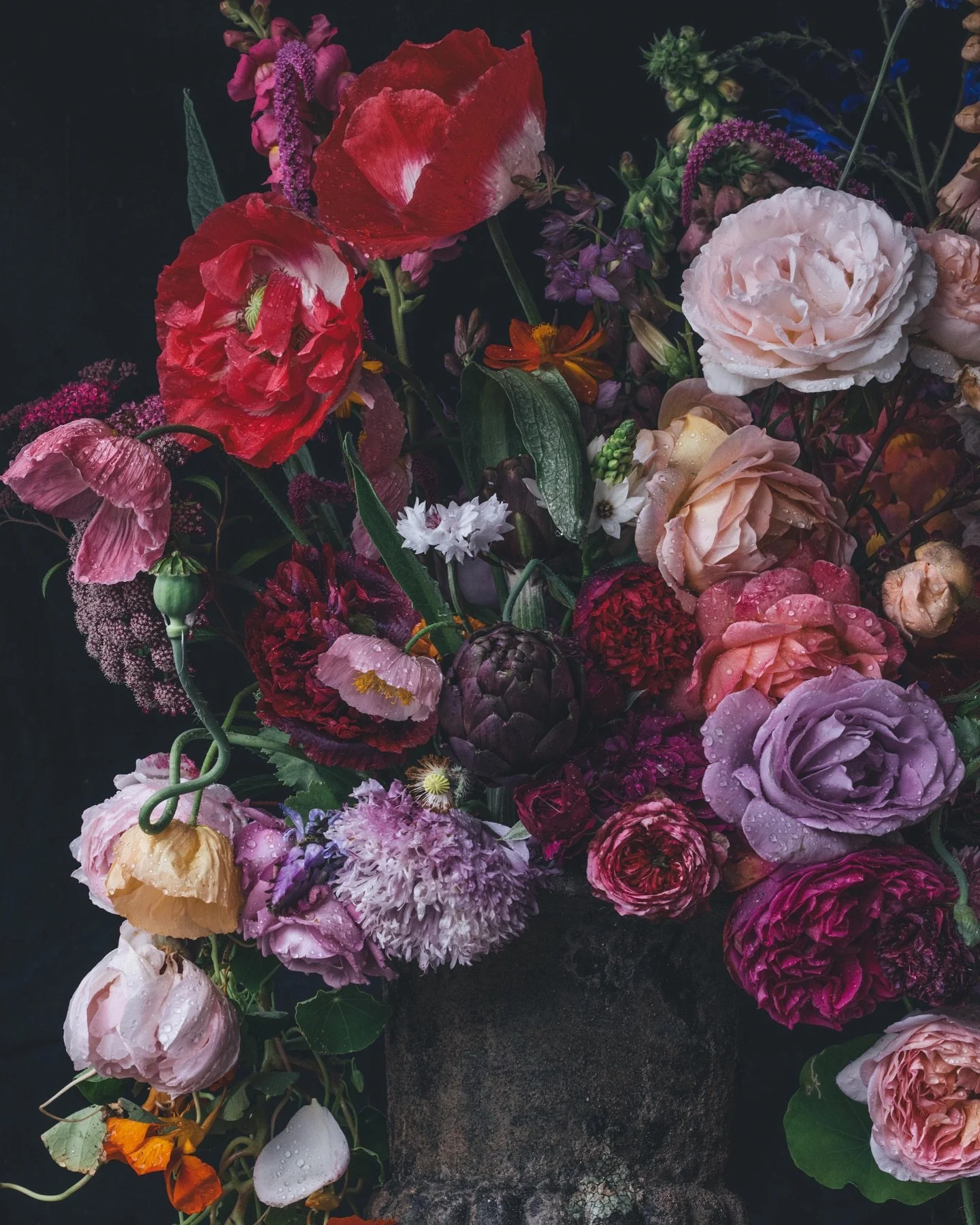 Some spring favourites, from the shaggy lilac pom pom poppies, the oversized crimson papaver orientale to the gorgeous jewel toned roses, I love putting all these beautiful colours together.

#jeweltones #playfulfloralarrangement #papaver #poppies #d