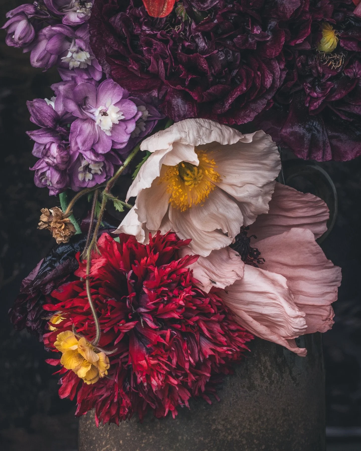 Poppies from our garden. Angels choir, mother of pearl, amazing grey and those gorgeous fluffy peony poppies that are so outrageously beautiful in the garden beds plus a blush pink papaver orientale called &lsquo;Princess Victoria Louise&rsquo;. The 