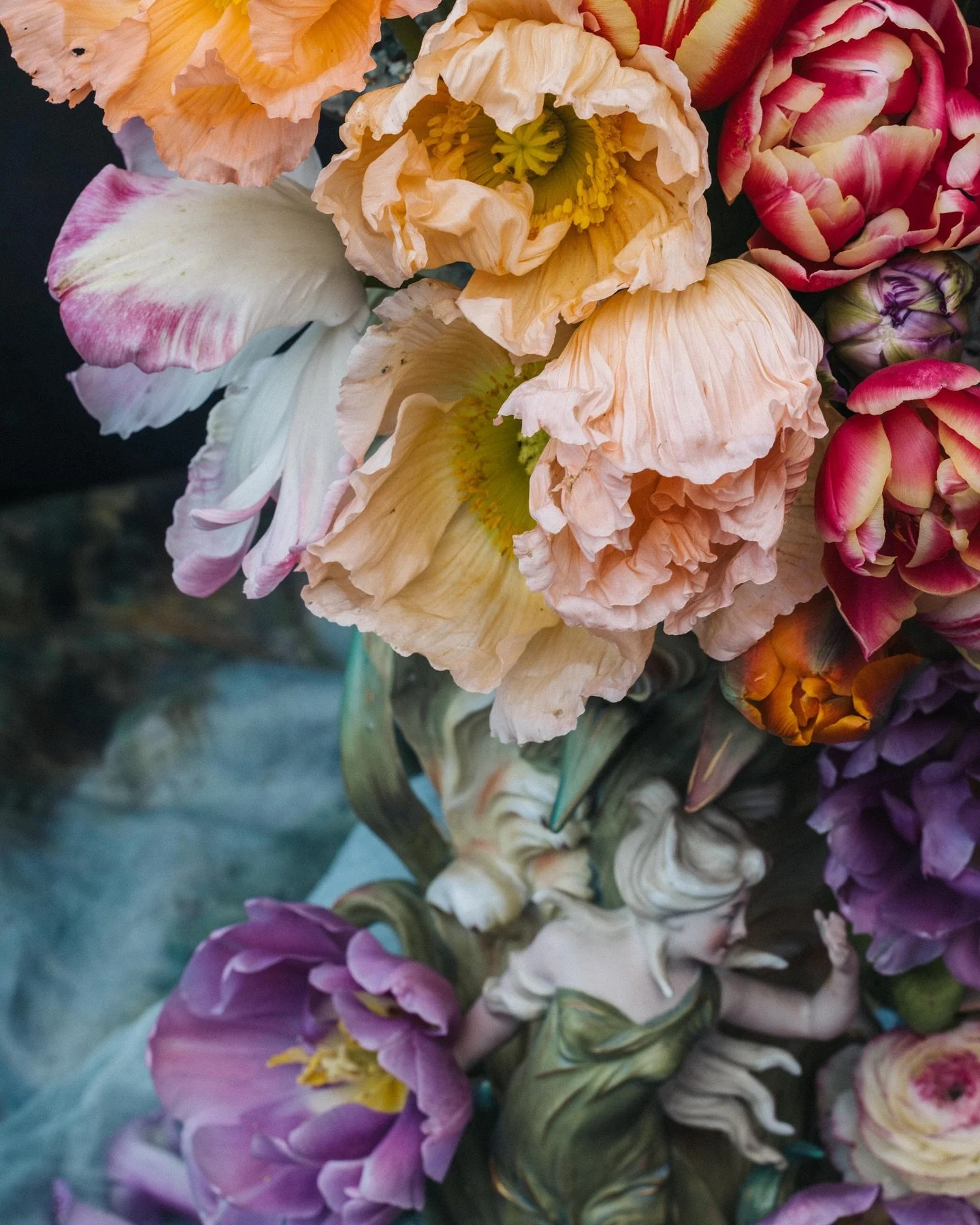 Spring 2024. Homegrown beauties. Poppies and tulips from my garden. 
#popples #nzgarden #nzphotographer #dutchmastersinspired #nzspringgarden #tulip #photographingpoppies #fineartphotography #flowerphotography #floralarrangement