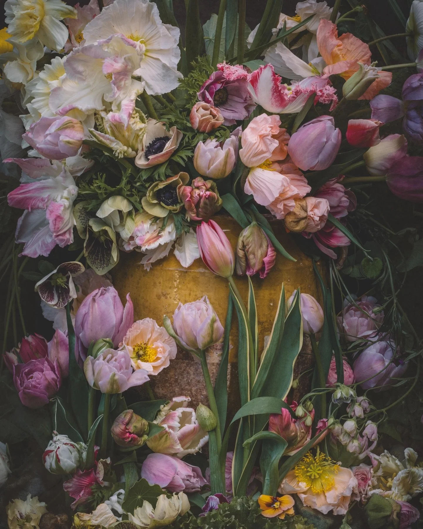 Beautiful tulips, anemones and poppies from my garden. Love all this spring gorgeousness. 
#floralartistry #tulipseason #springblooms #anemones #poppies #floralarrangement #floraldesign #fineartphotography #nzphotographer #nzgardener #nzflowergrower 