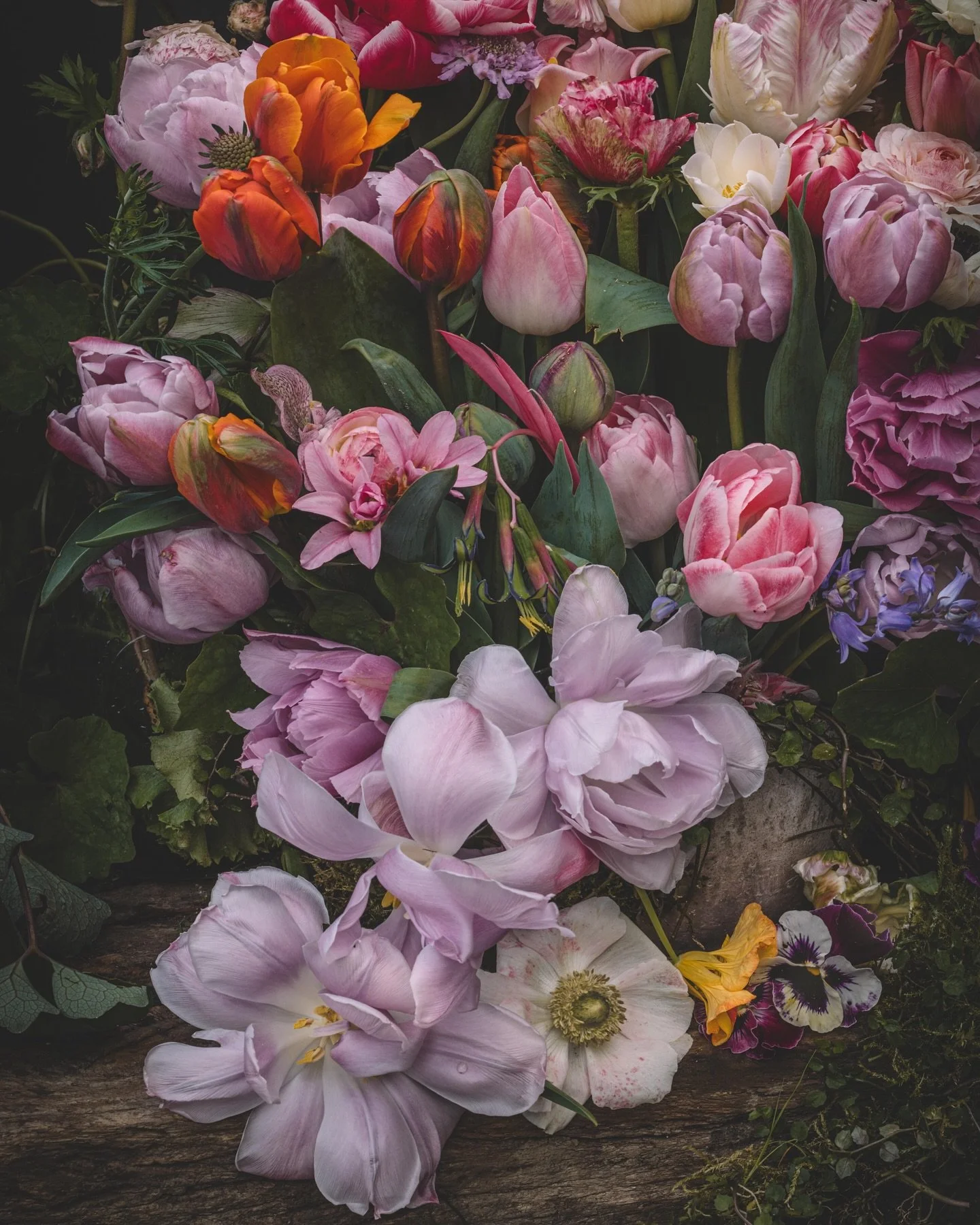 Spring flowers from our garden. Tulips are so fleeting, I really am sad that their time in the garden is so short lived so I am making the most of them. Also the prettiest bromeliad flowers, anemones, poppies and ranunculus

#nzflowergrower #fineart 