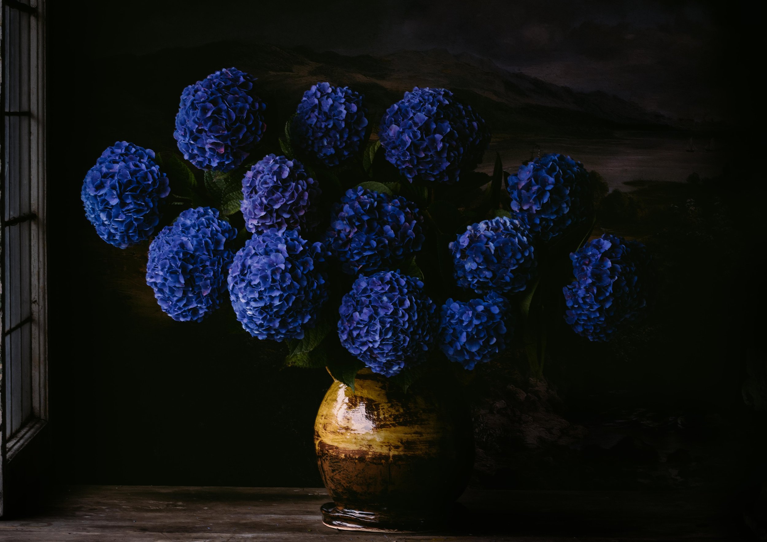 Blue Hydrangeas 5981 landscape version LR-.jpg
