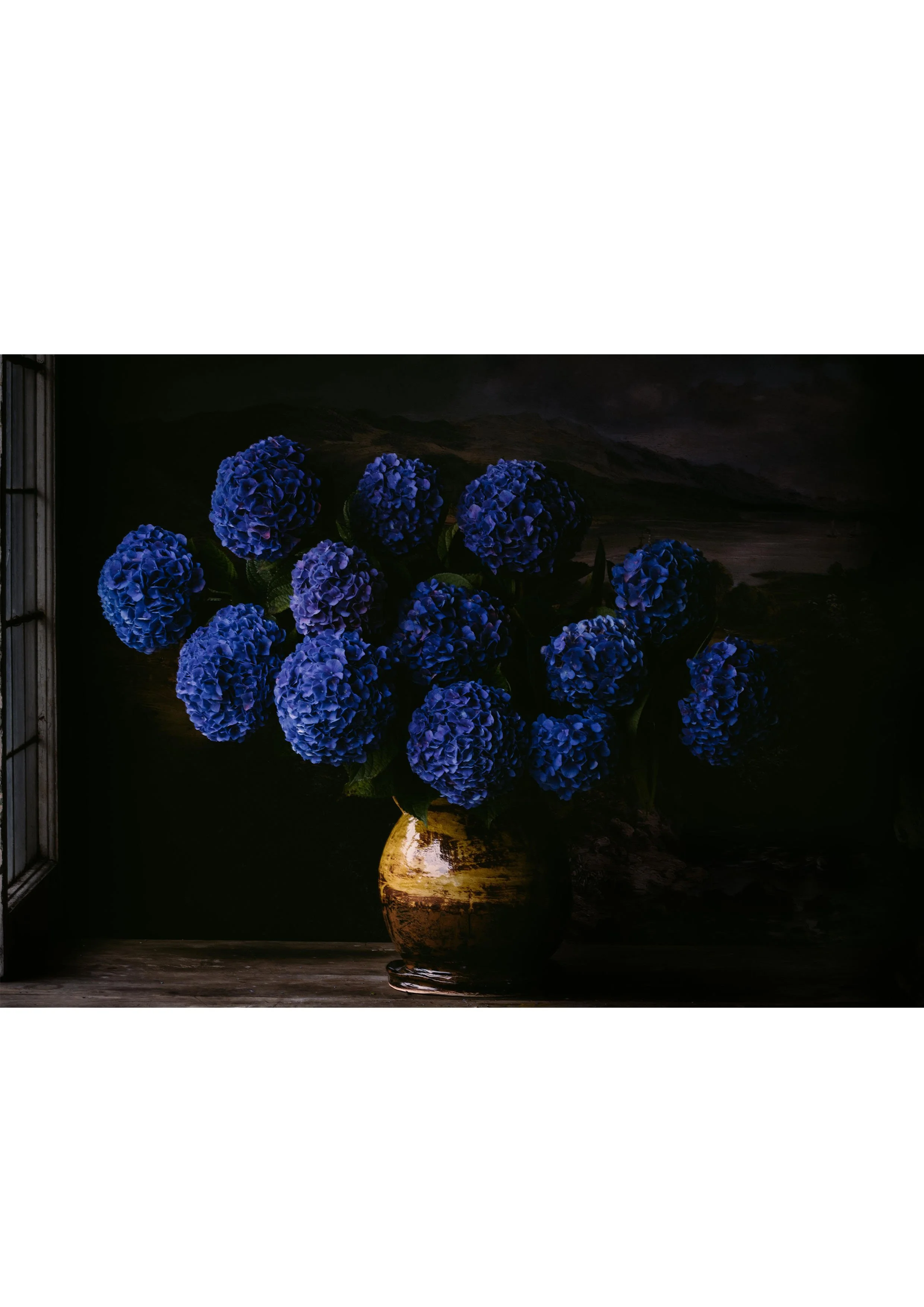 Blue Velvet for website.jpg