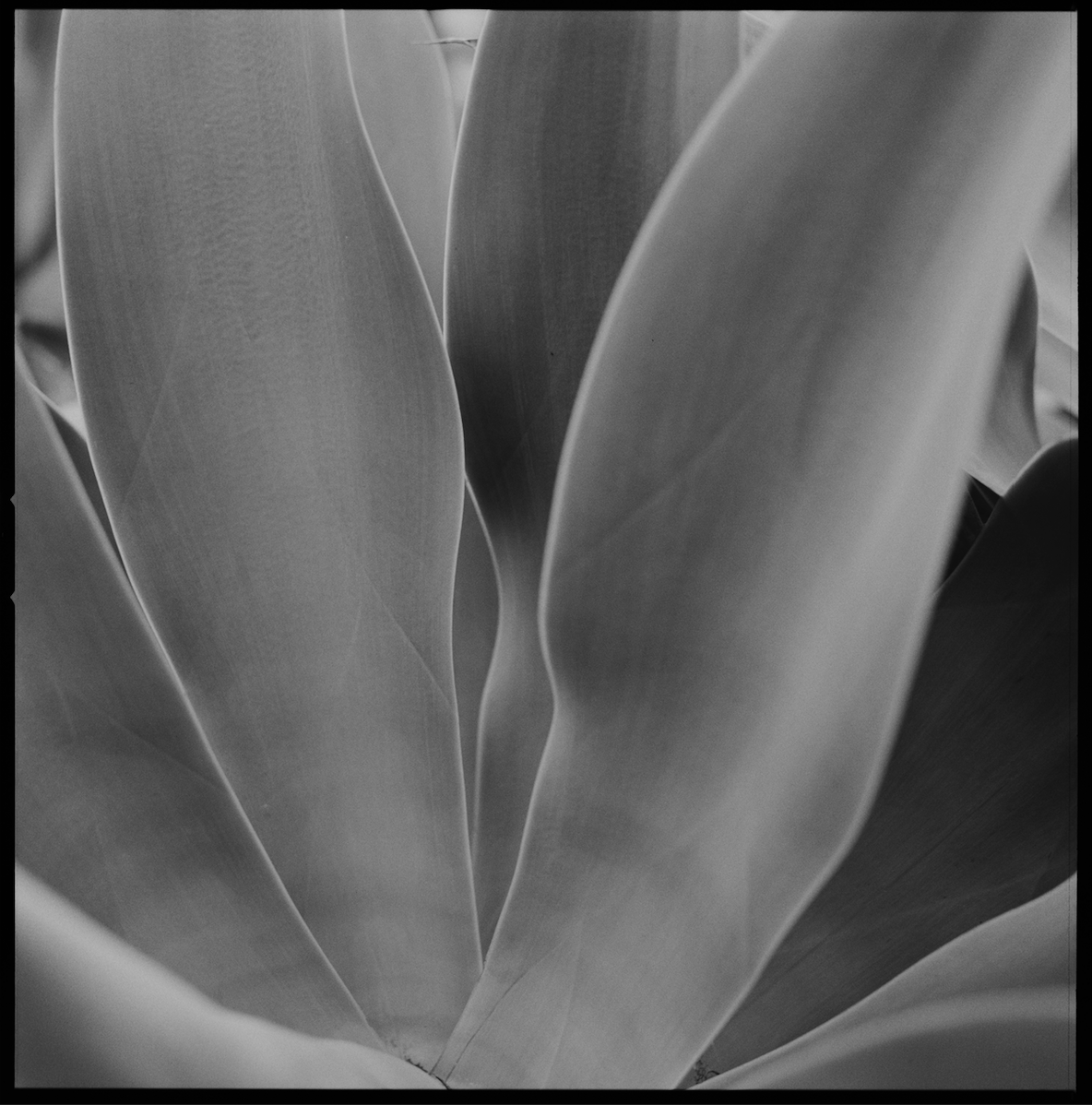 Screen Shot 2025-12-26 at 6.05.33 PM.png