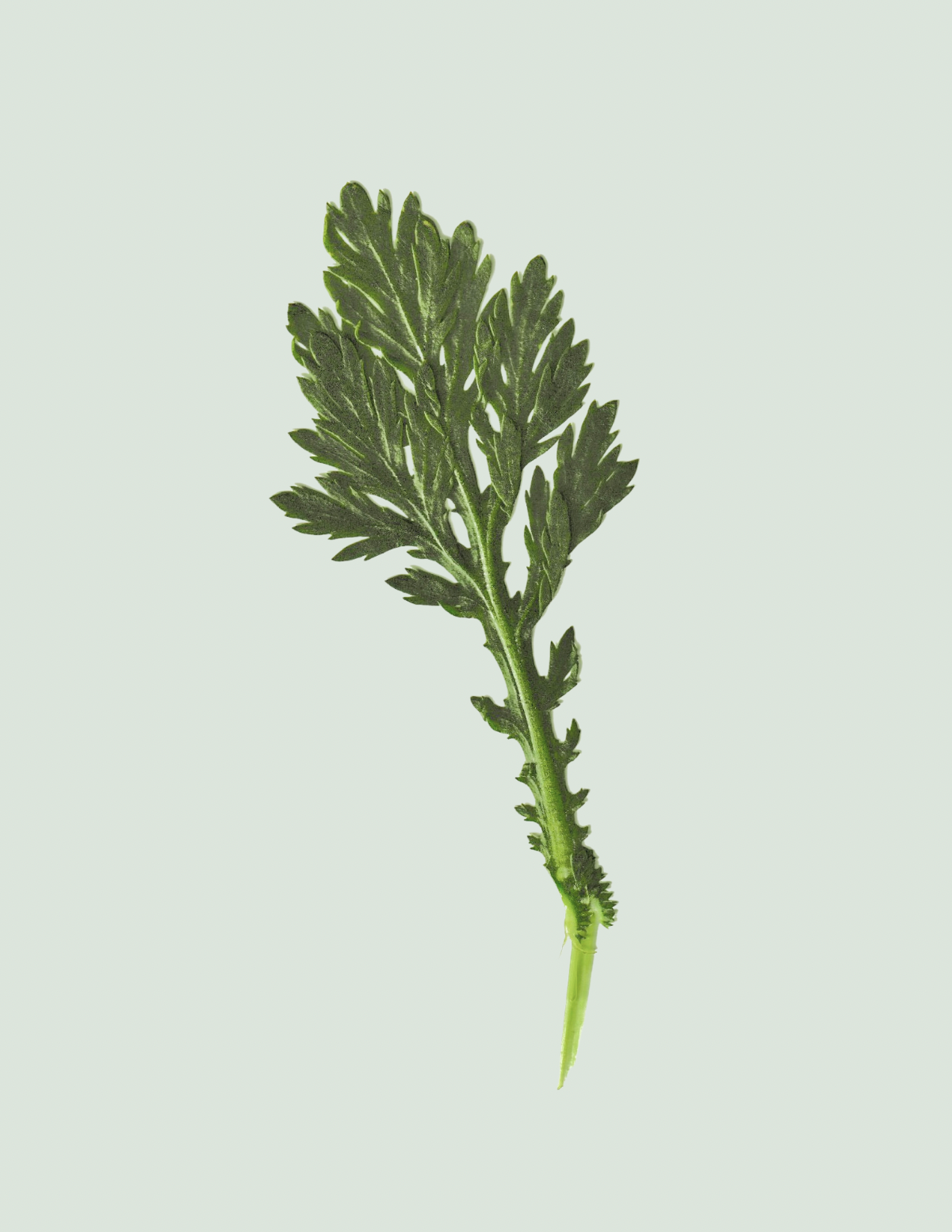 Uncertain hour - 1.PNG