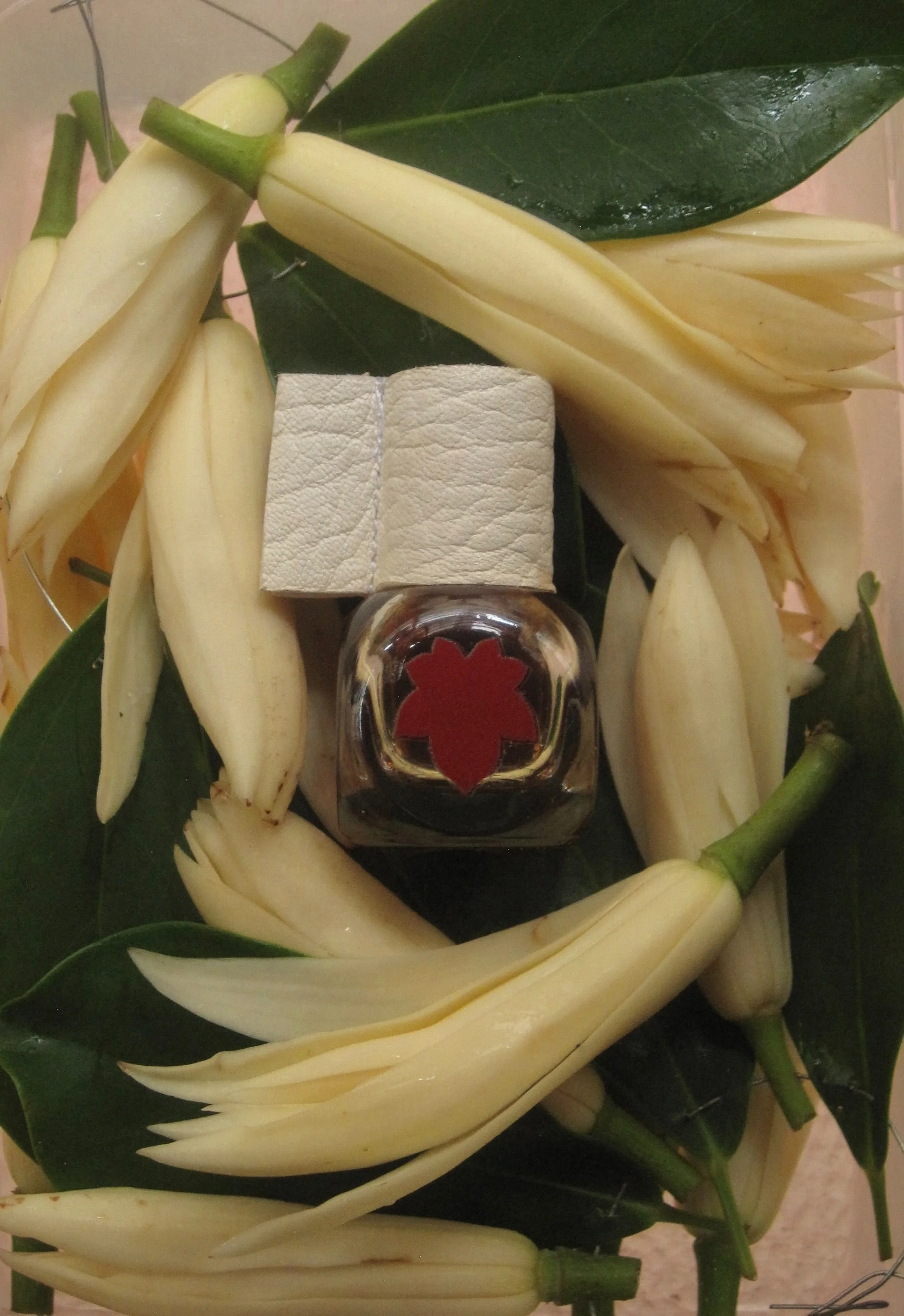 Remains of a Gesture Perfume Absolute