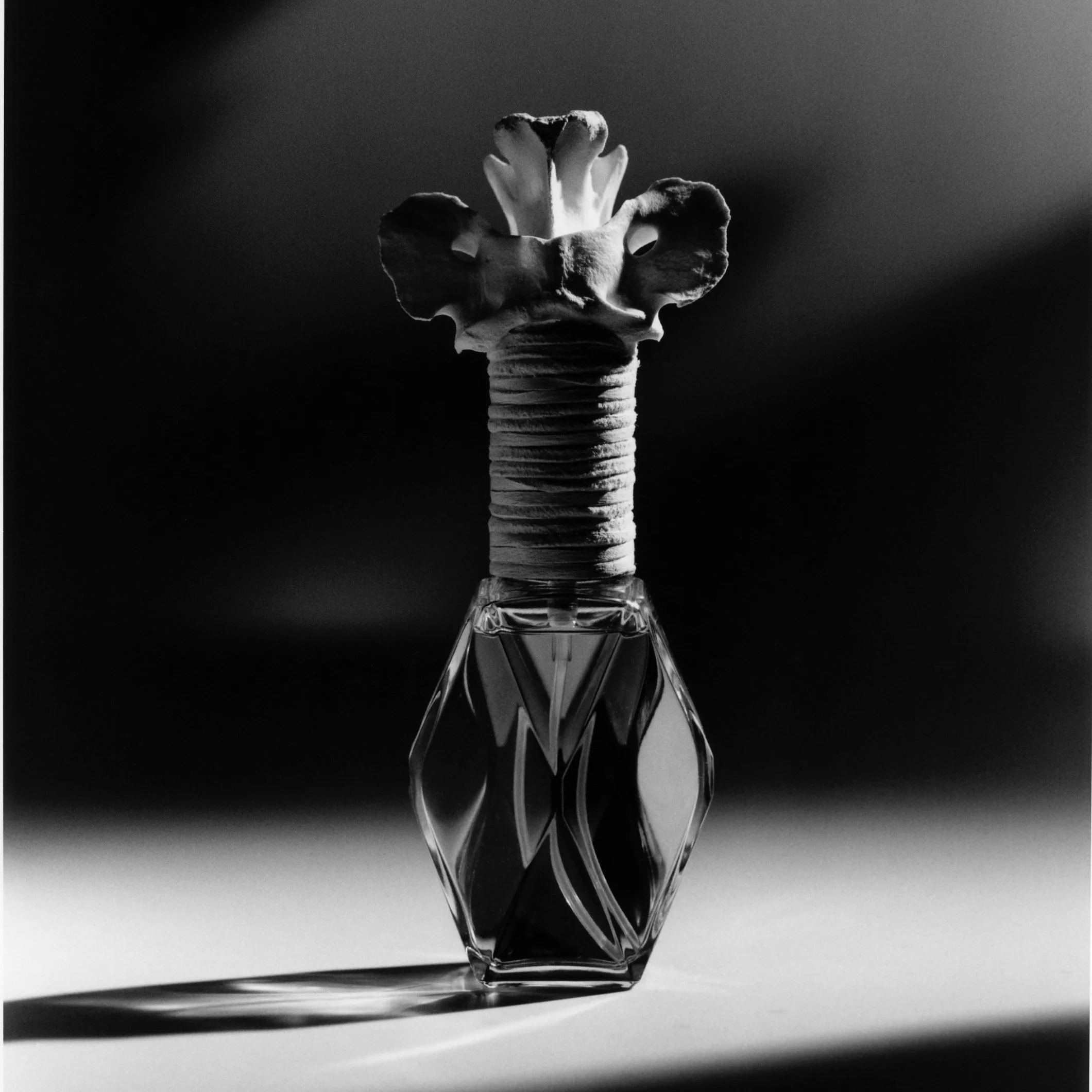 A black and white photograph of a perfume bottle with a decorative top resembling flowers and a coiled ribbon or band around the neck, casting a shadow on the surface.