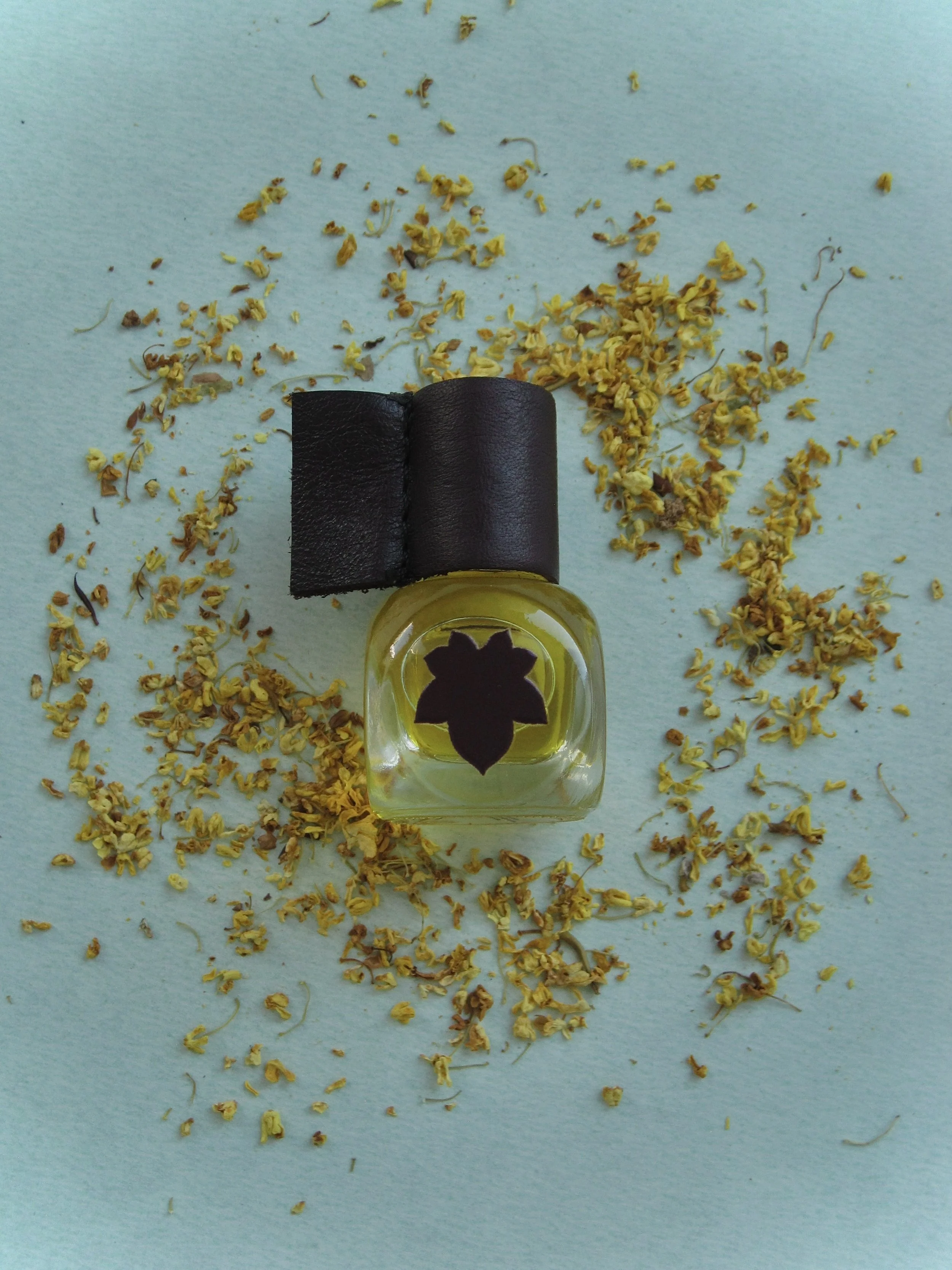 Change of Heart Perfume Absolute