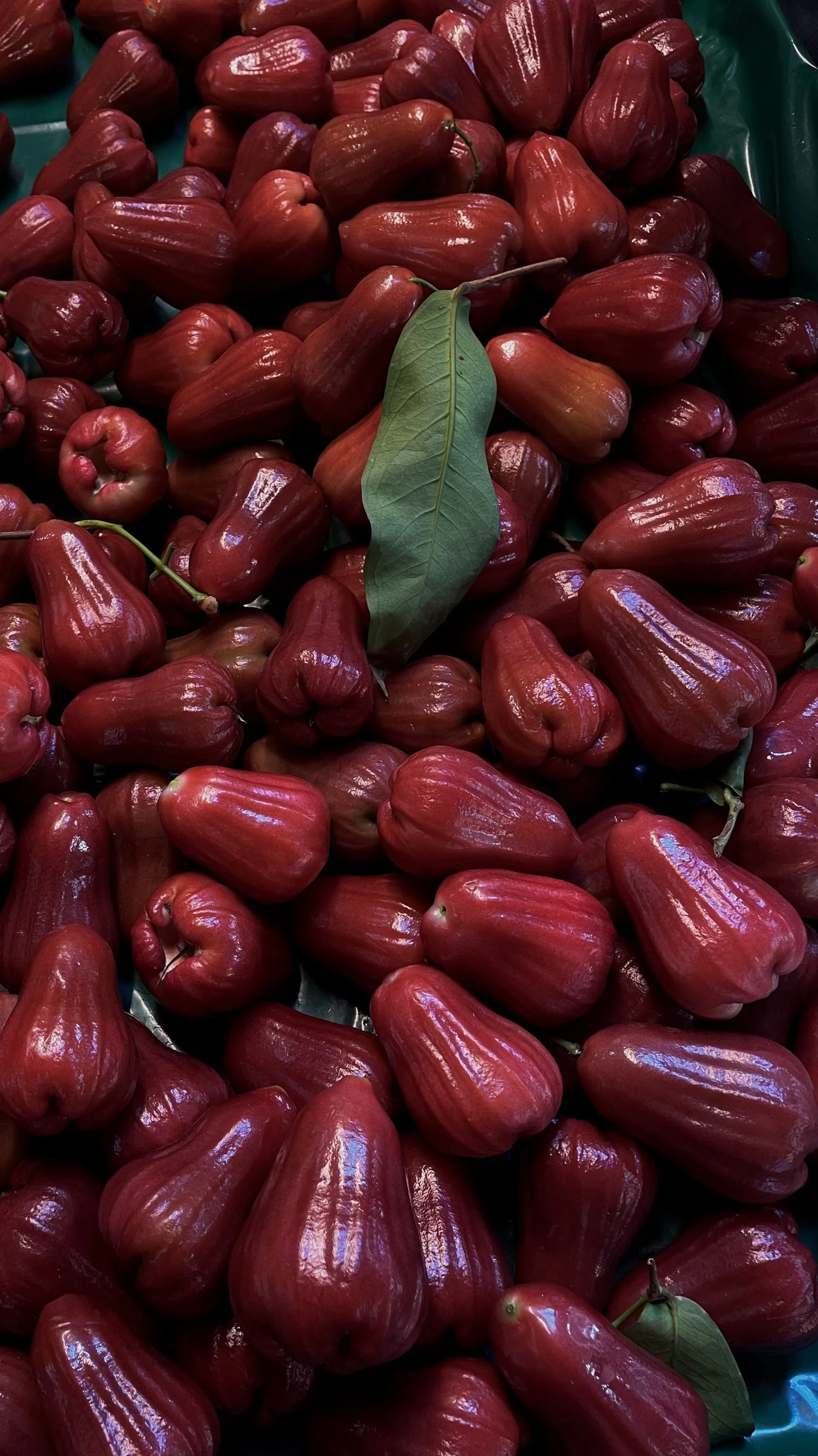 Pile of  wax apples with a green leaf