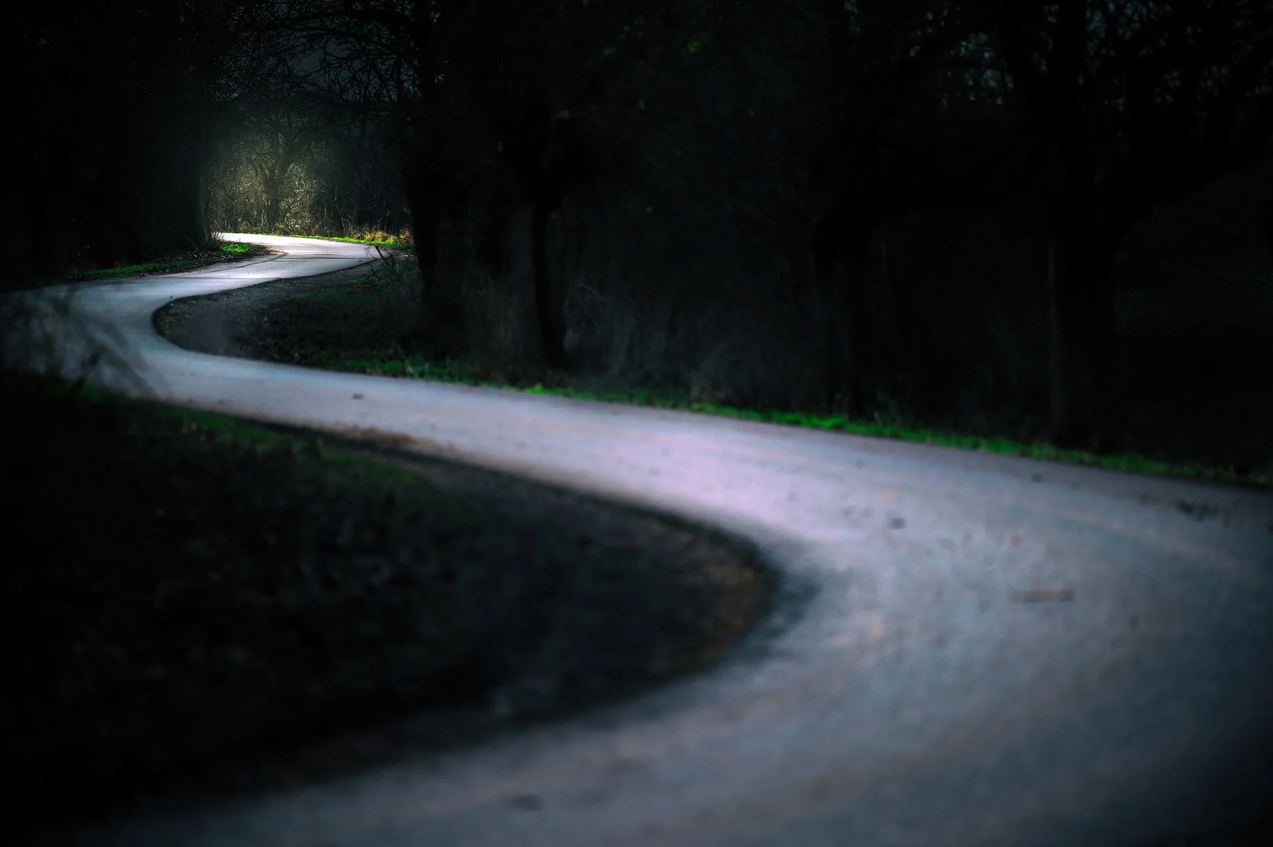 A winding road through a dark, dense forest with limited light at sunset or dawn.