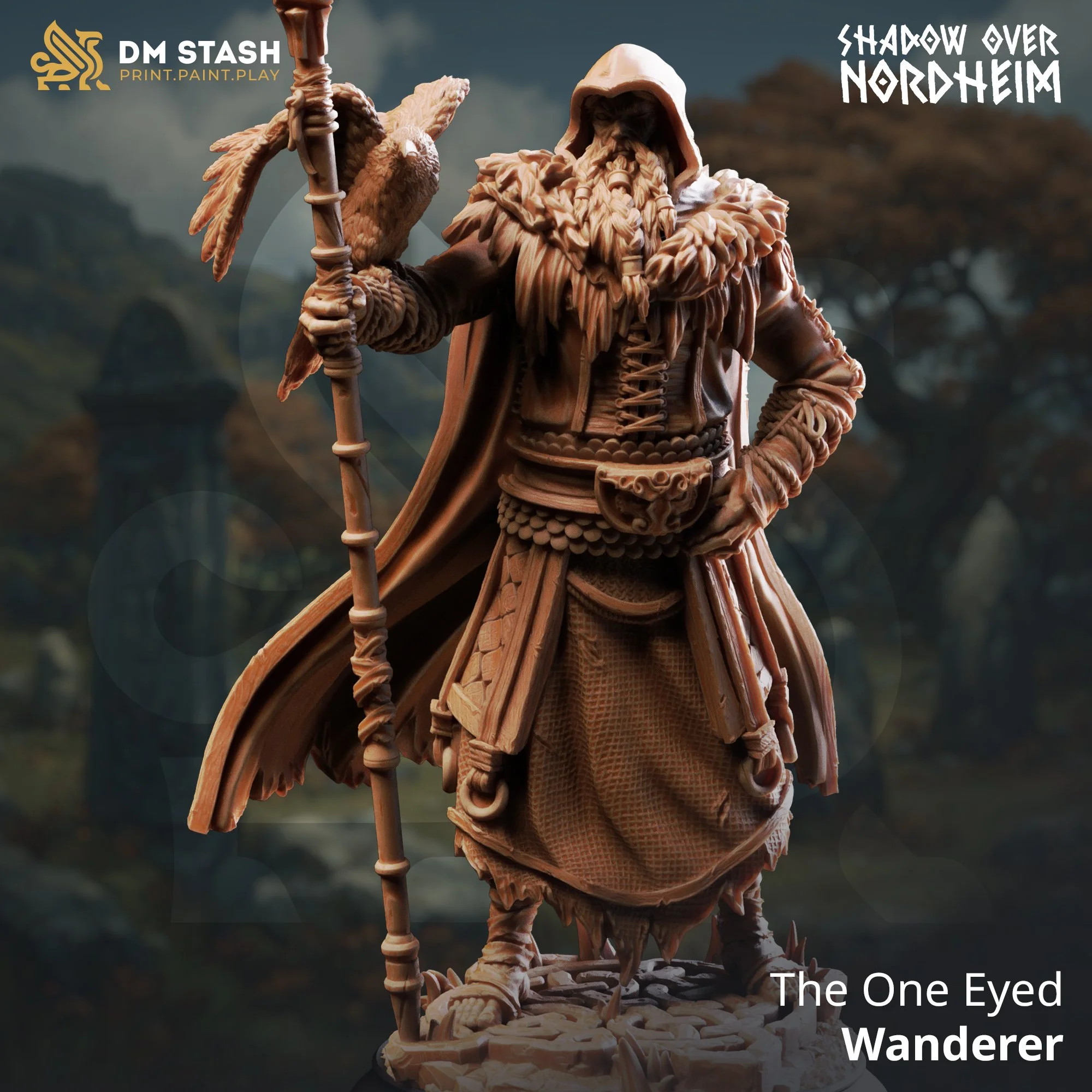 The One Eyed Wanderer
