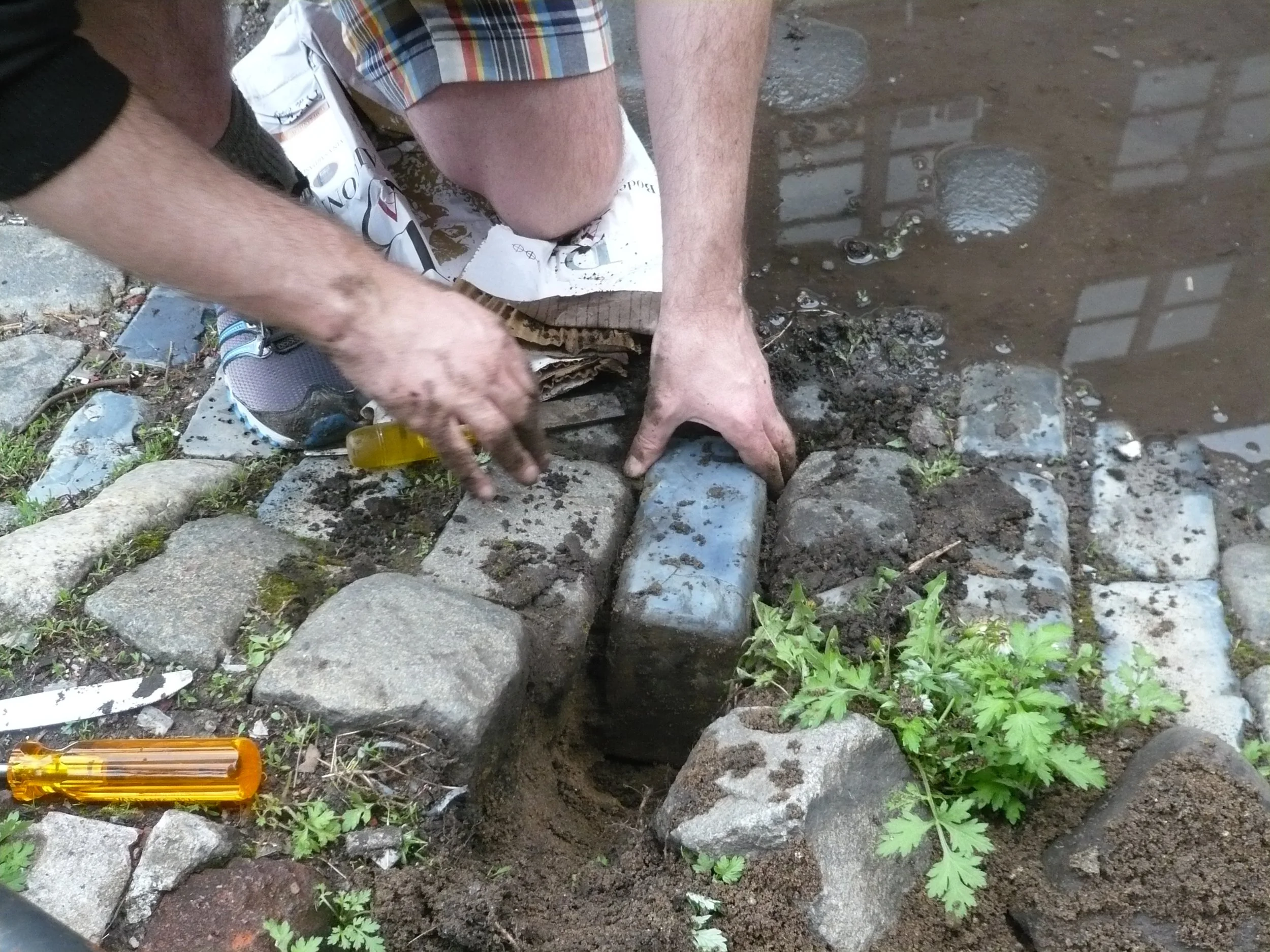 Reed Siefer  (11).JPG