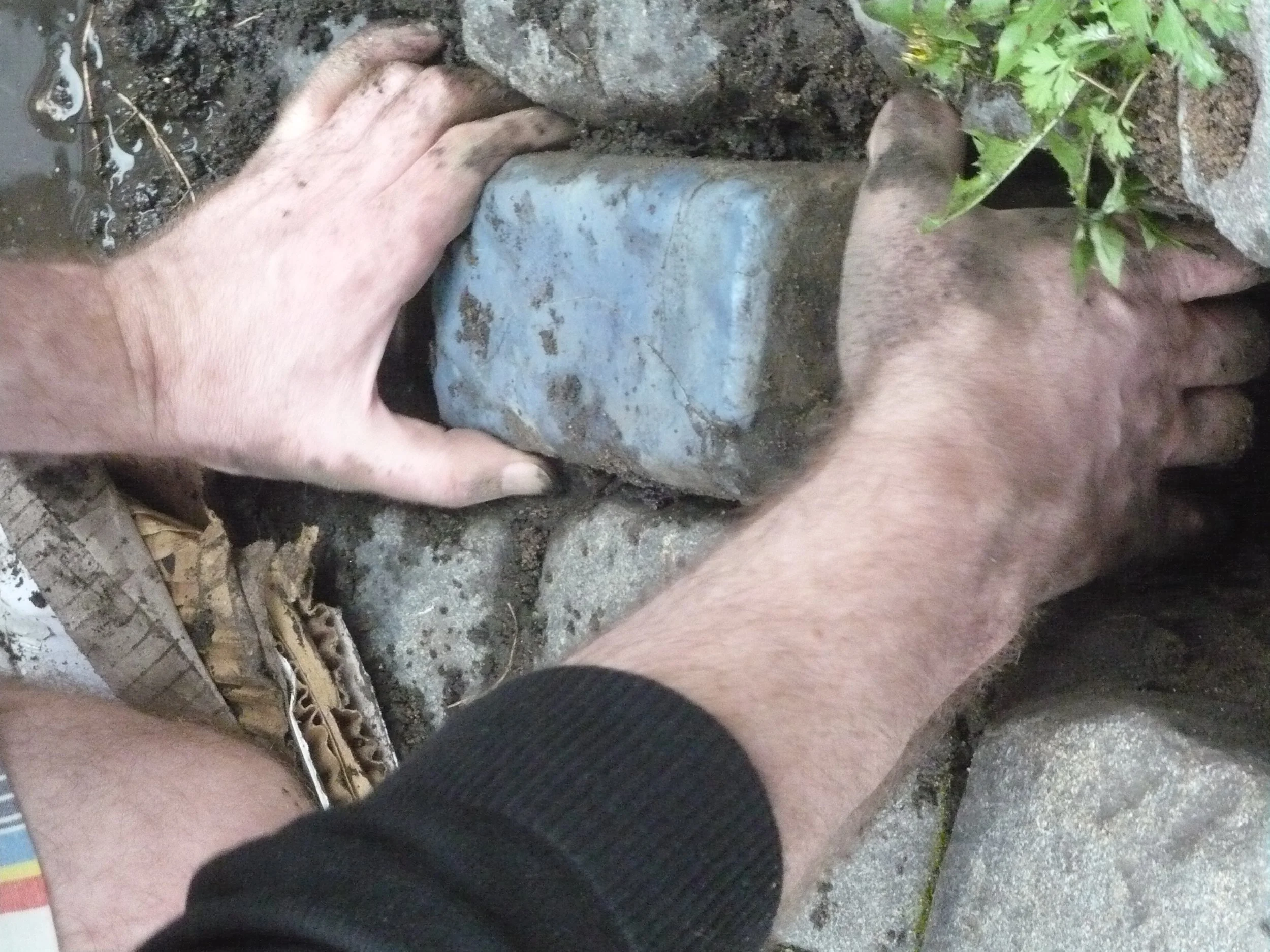 Reed Siefer  (12).JPG