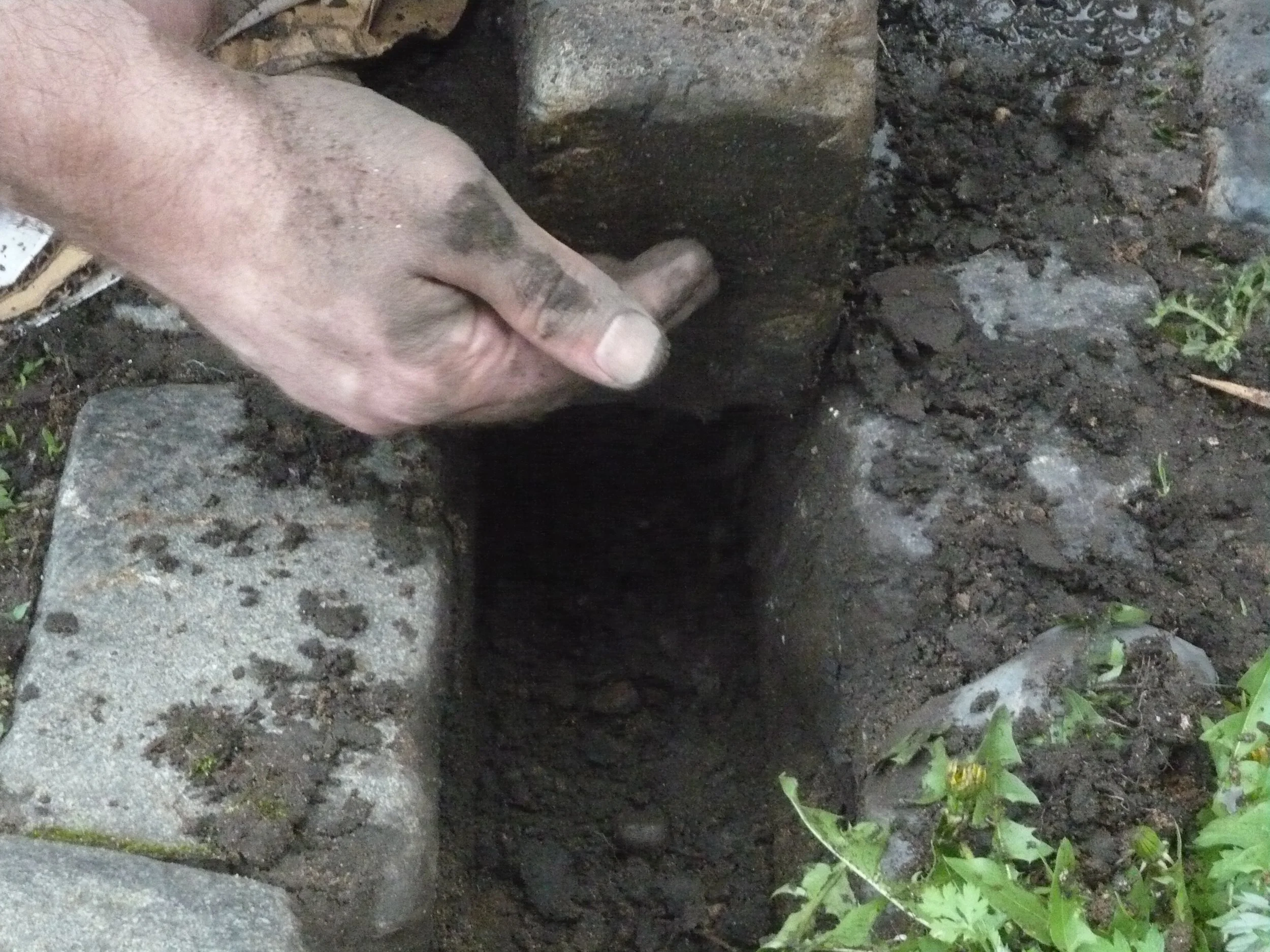 Reed Siefer  (13).JPG