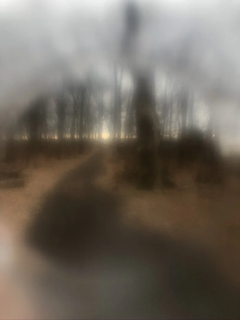 A98B828E-F37E-4D4C-8670-BE032E834C61_1_105_c 2.jpeg