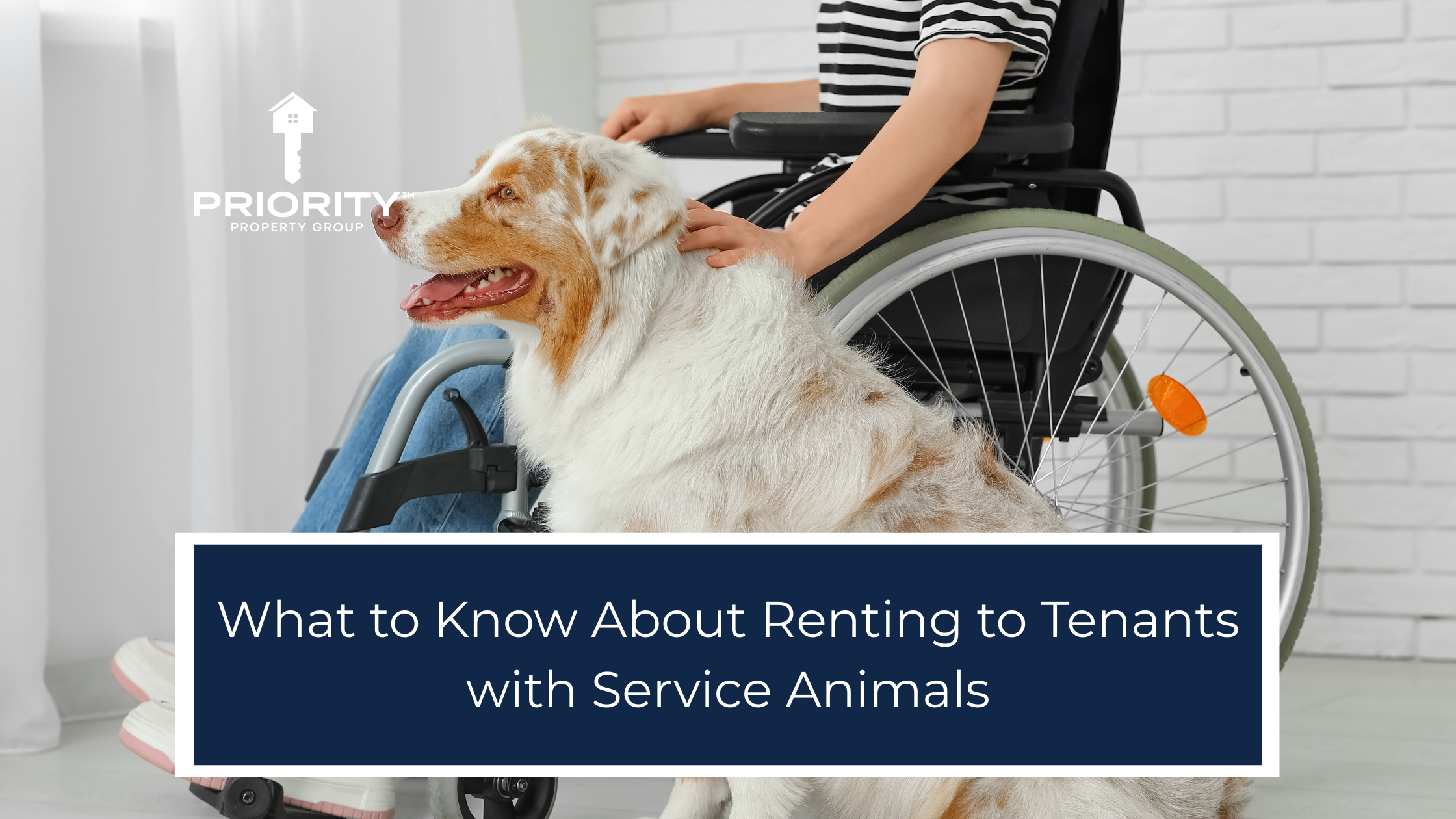 What to Know About Renting to Tenants with Service Animals