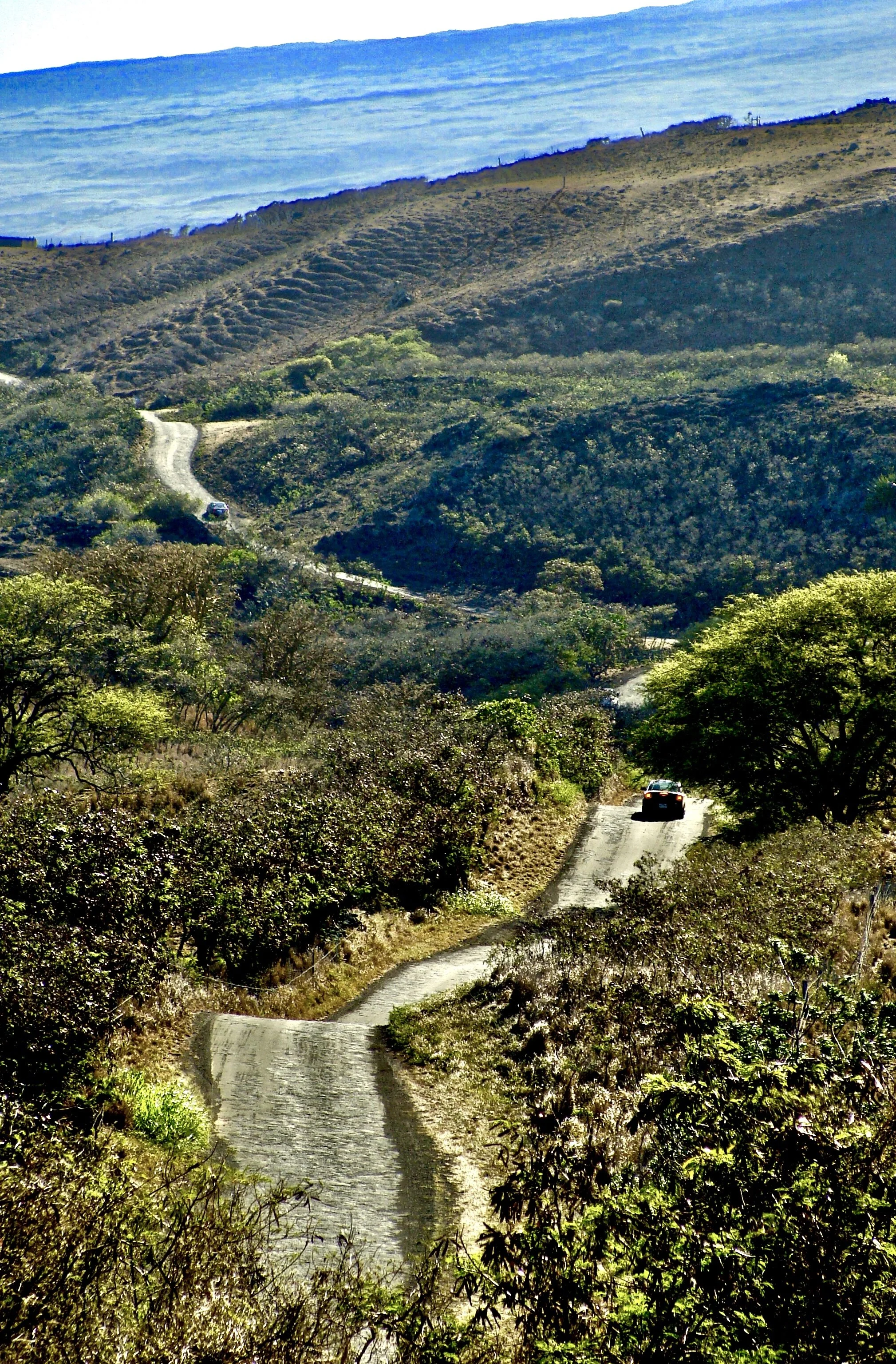 Winding Roads