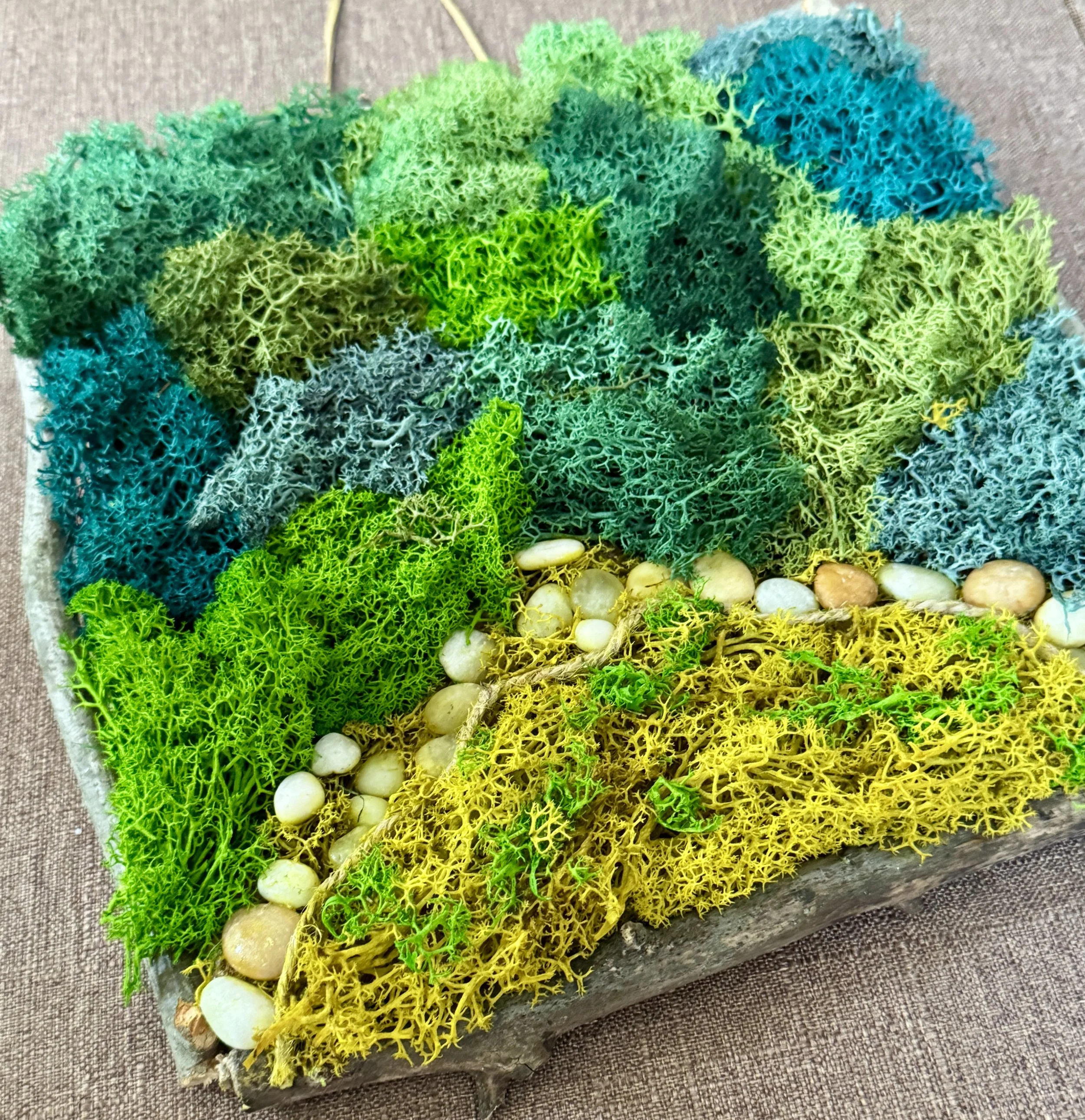 Greening our Lives - Evening
